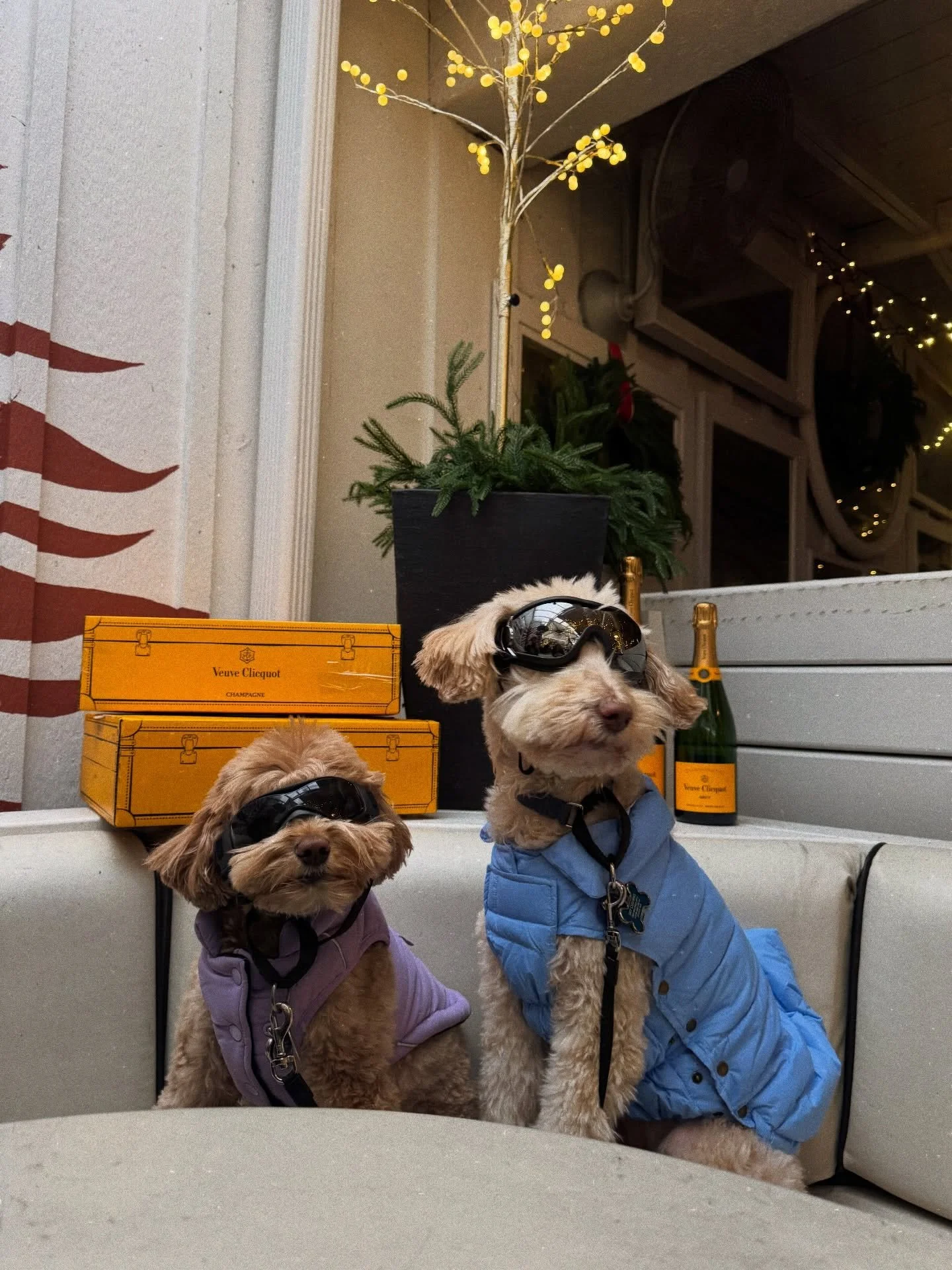 Confirmed: this weekend was chill❄️

Our first @veuveclicquot event + a snowstorm couldn&rsquo;t even stop you&hellip;You did it big, CLE. 

Ski you Friday 🎿