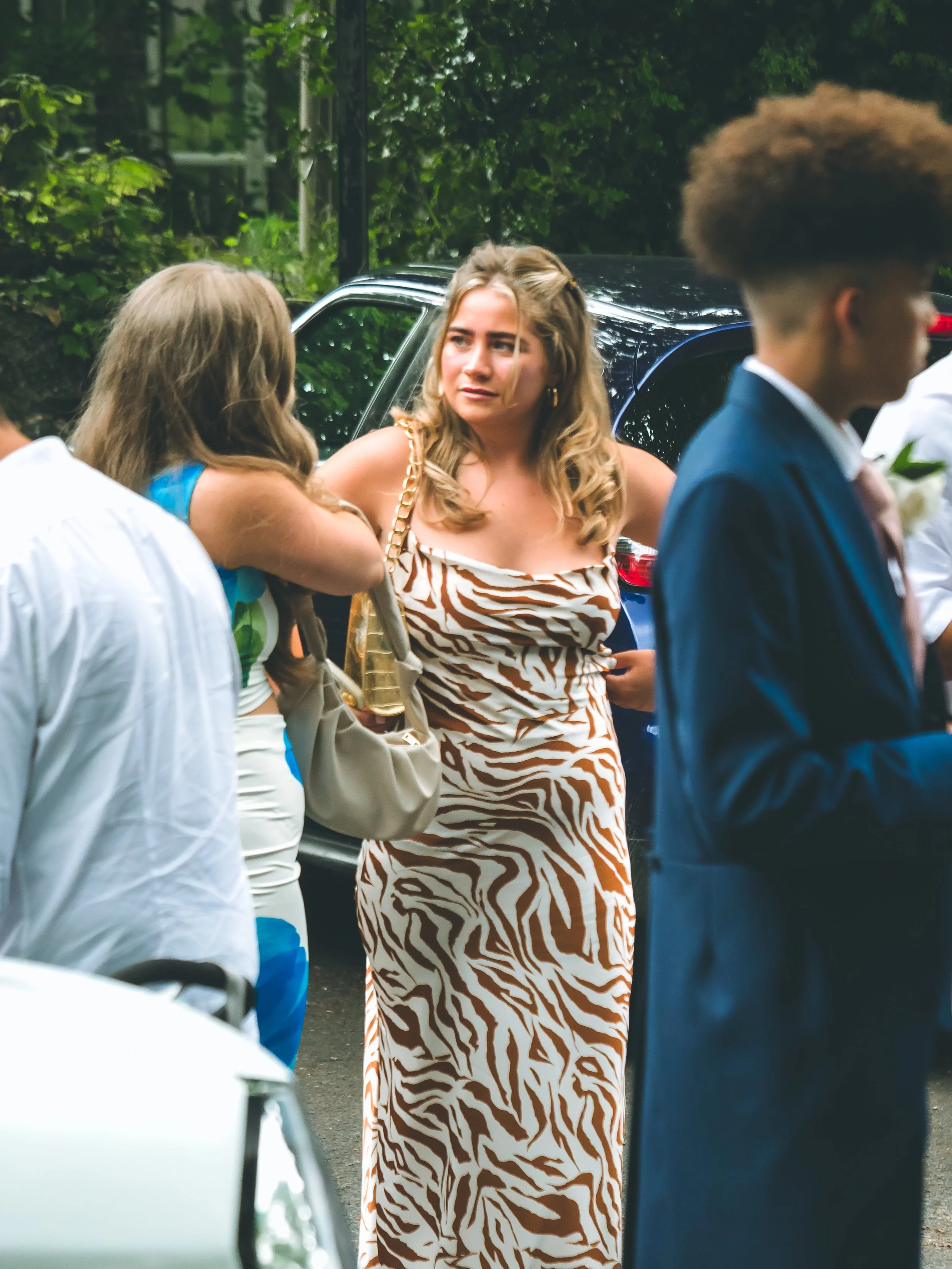 A woman in a zebra print dress is talking to another woman with long hair, surrounded by men in formal clothing, outdoors near a black car and greenery.