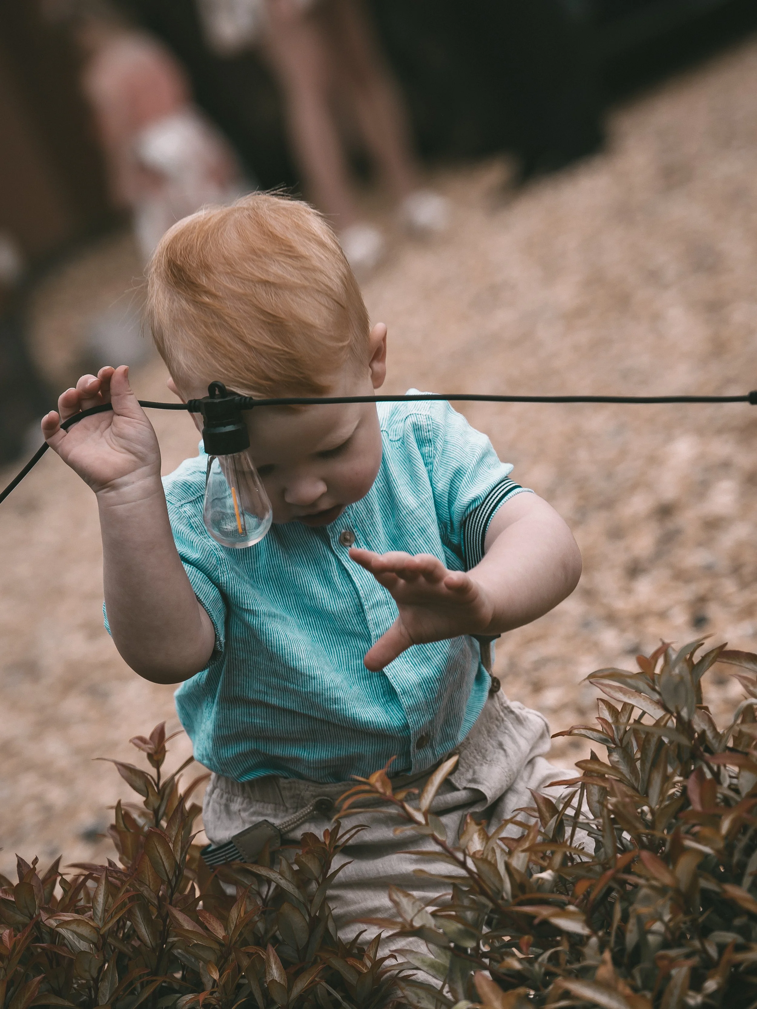 A young boy with reddish hair wearing a light blue striped shirt and beige shorts is outdoors, inspecting plants with reddish leaves. In the background, there are blurred people, suggesting a park or garden setting.