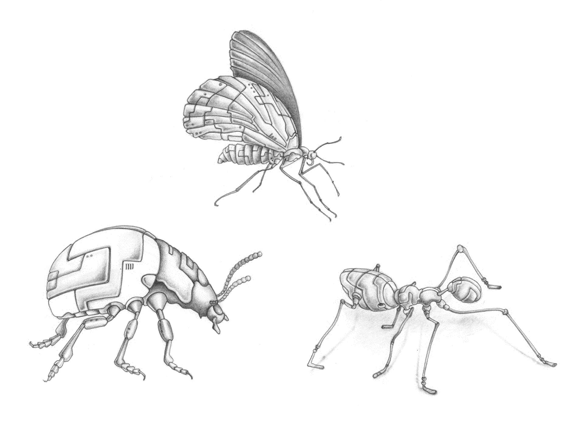 insectos robots.png