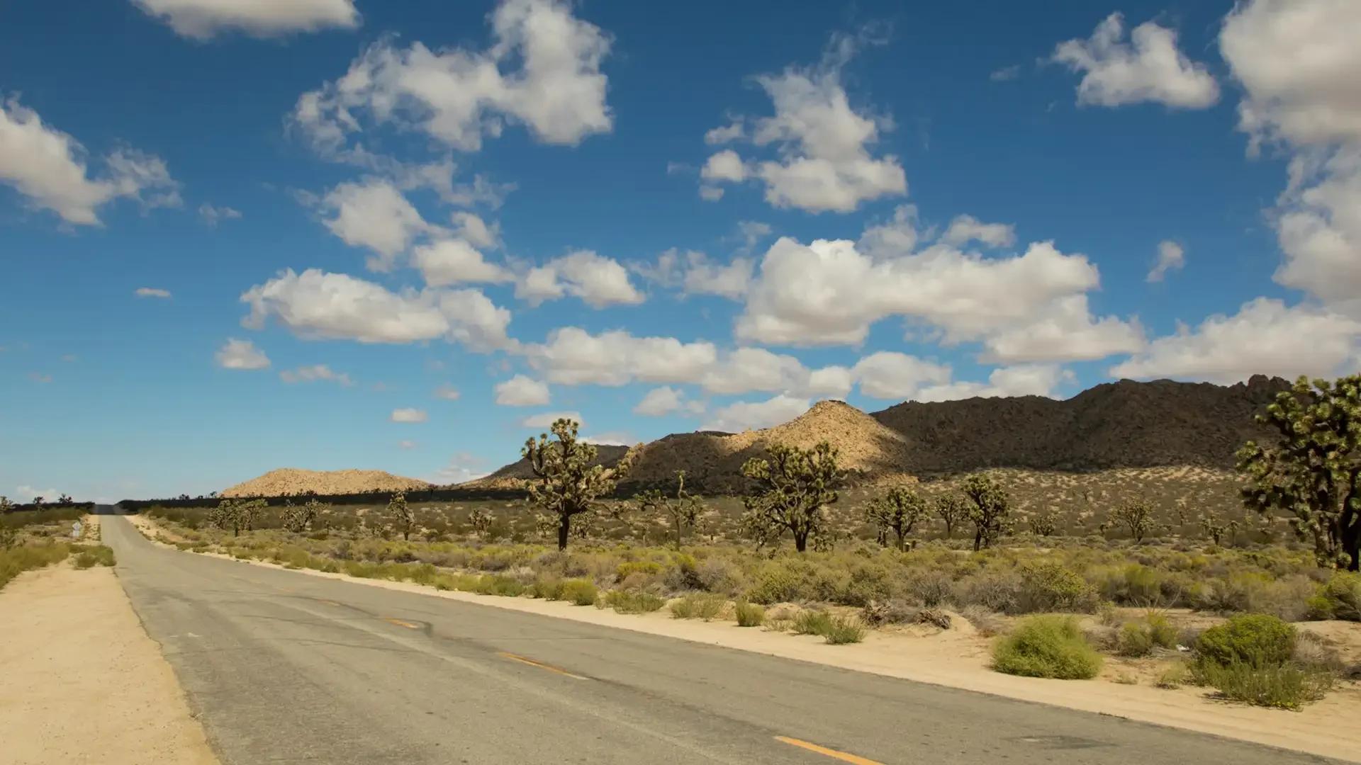 Accounting and finance professionals working through spreadsheets and using calculators in Palmdale firm