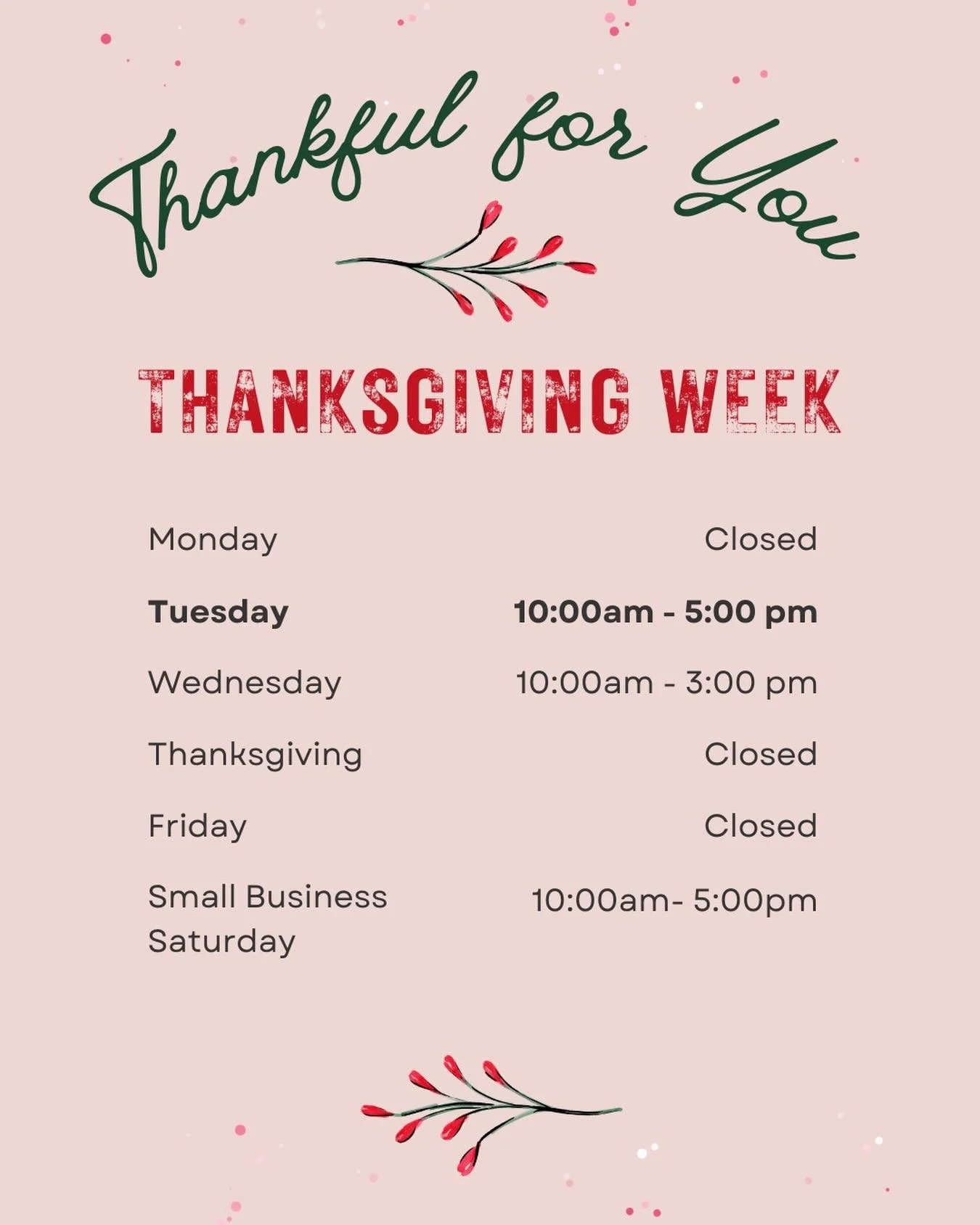 Thanksgiving Week Hours!