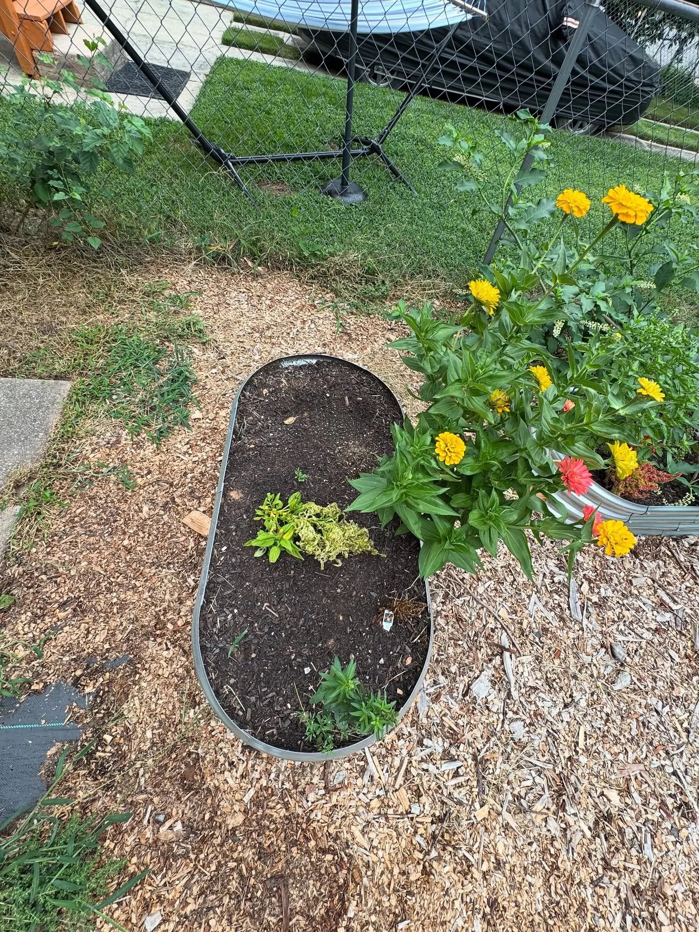 New Generations Scholars Planter Box update!
Pictures taken on August 18, 2025. 

Stay tuned for what&rsquo;s next to come for this space 🫣
