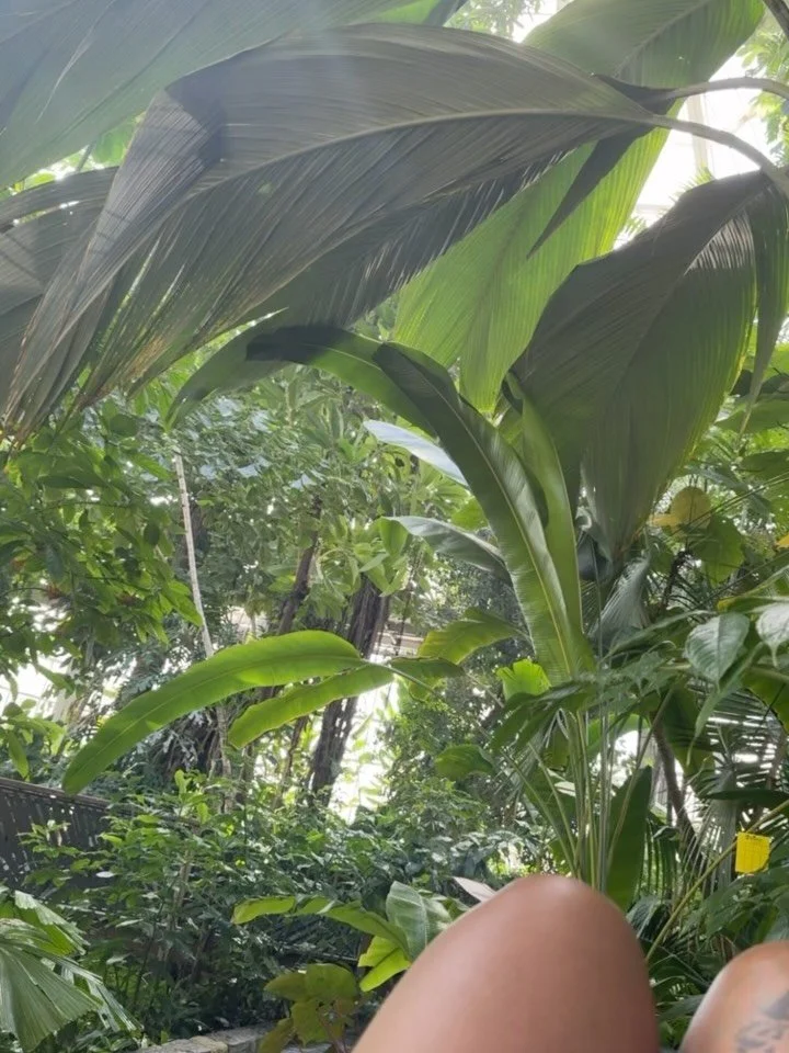 @usbotanicgarden pt.2