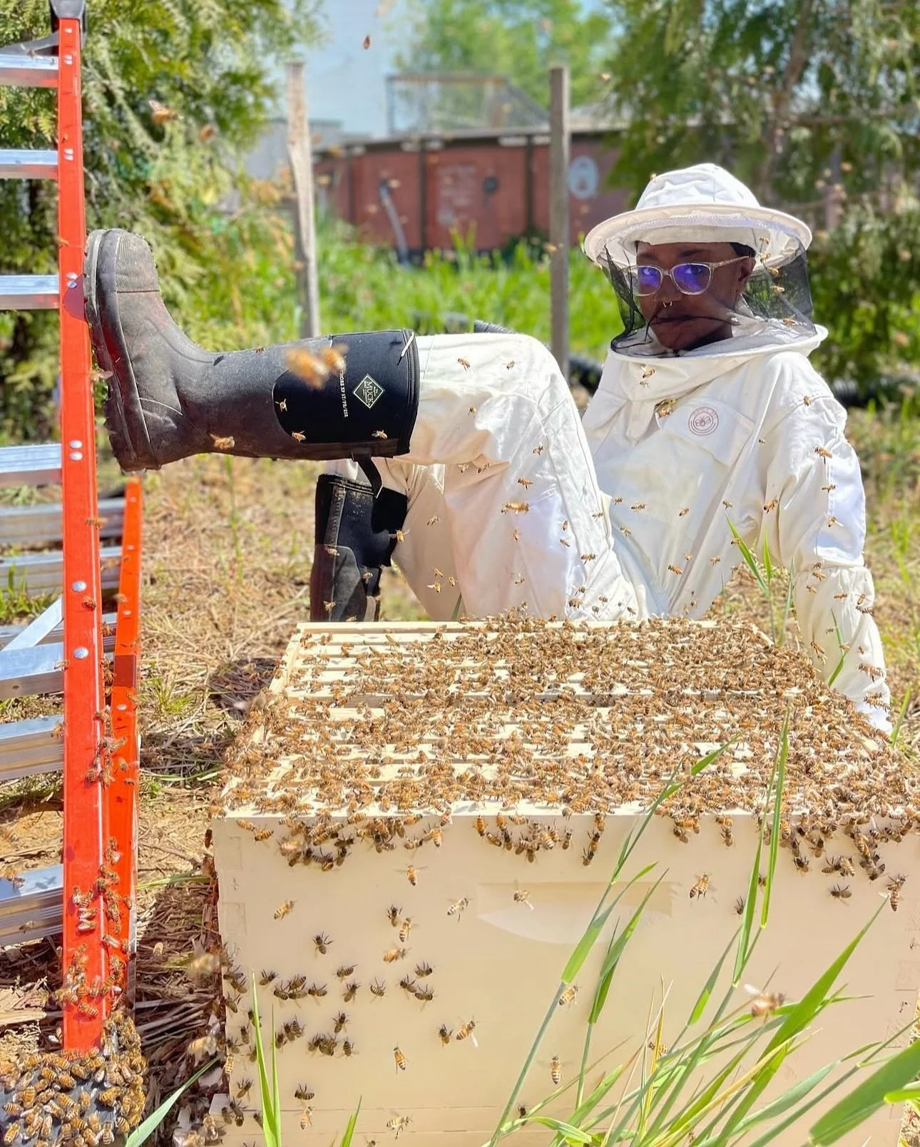 ✨Intro to Urban Beekeeping Workshop Recap 2025 ✨

I&rsquo;m not going to get all sappy &amp; stuff, but yall have made my dreams come true. When I started Sajeeda, I was just being Saj (&amp; yes my real name is Saj, &amp; isn&rsquo;t short for Sajee