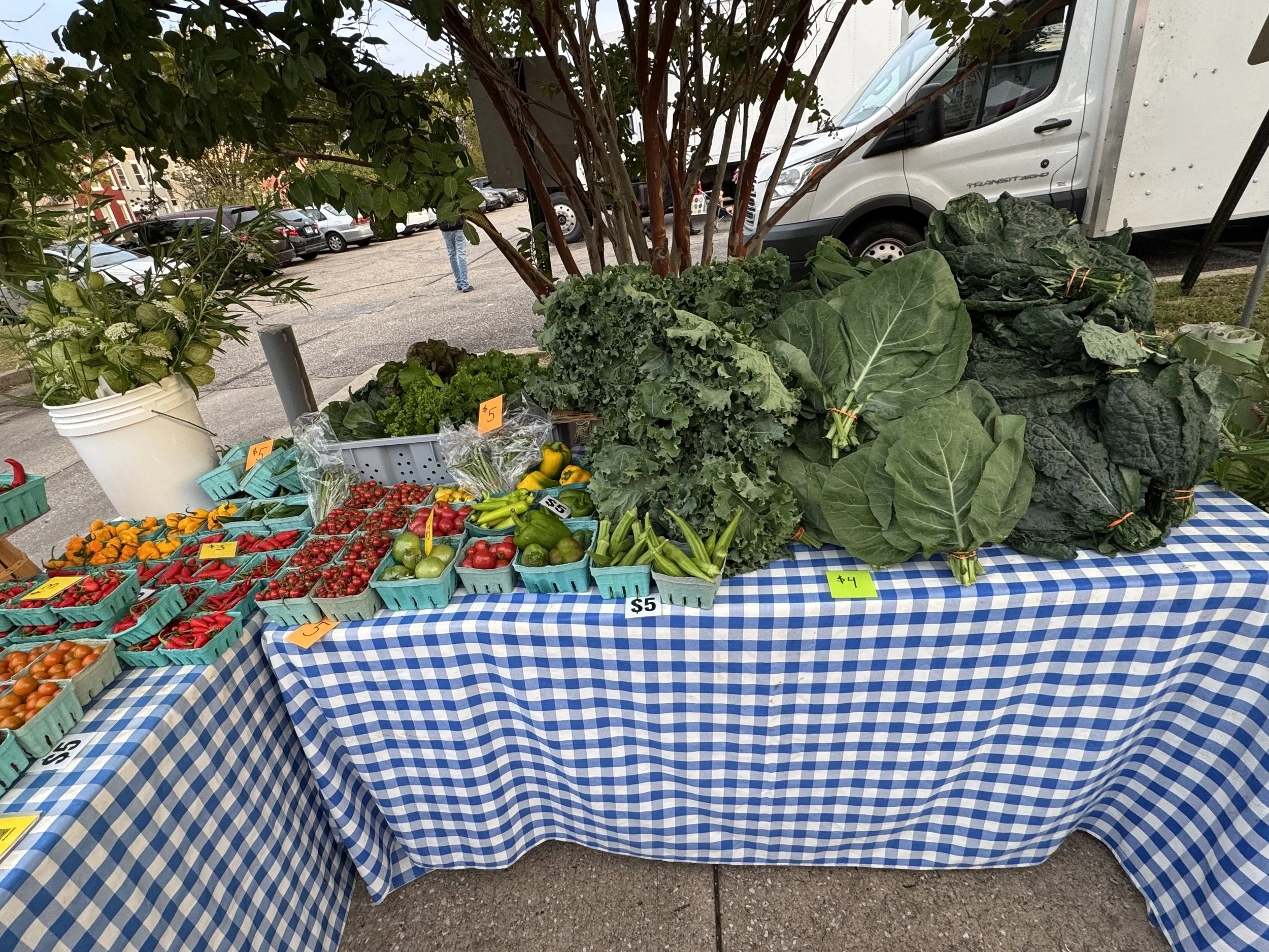 Waverly Farmer's Market