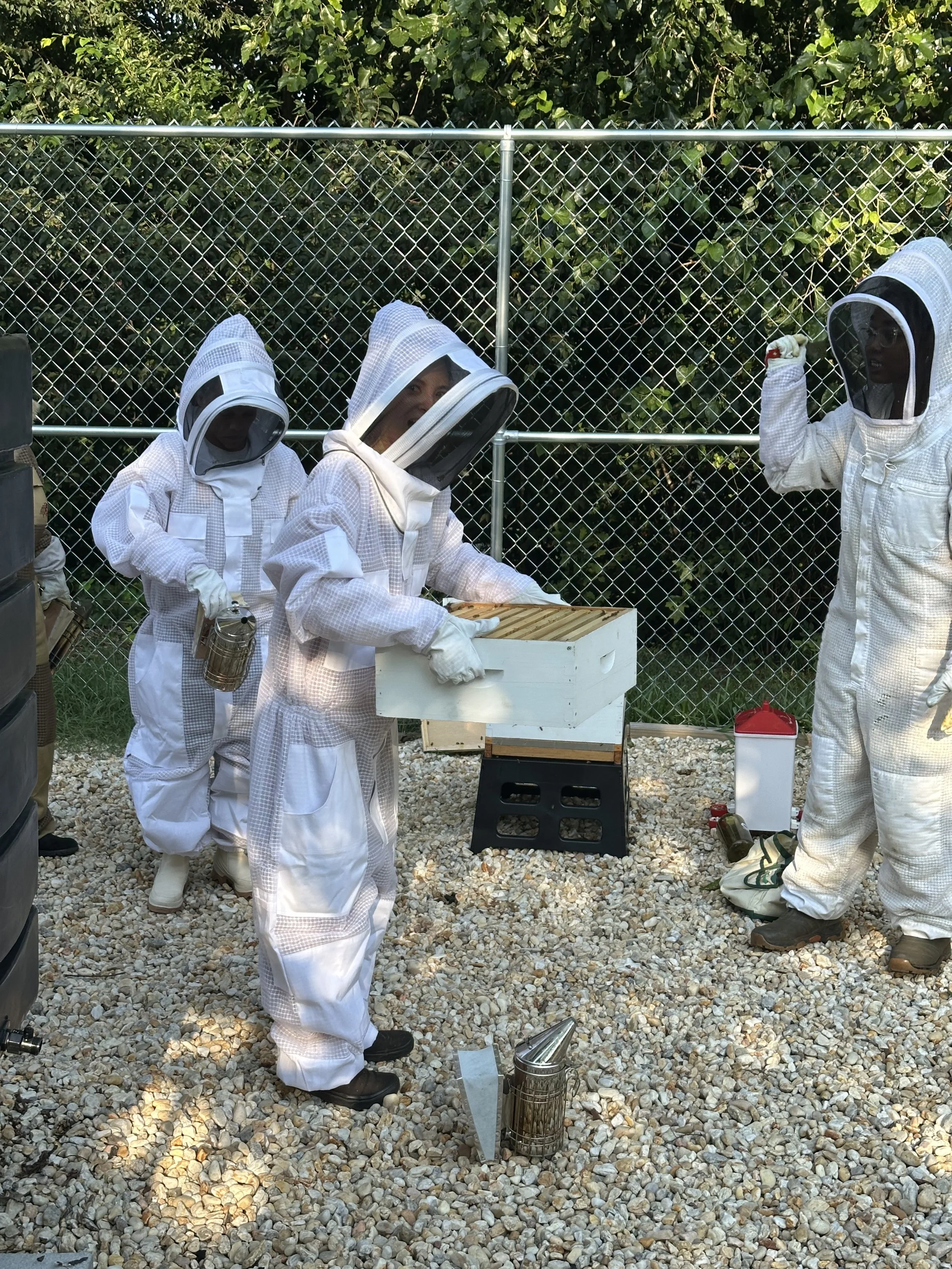 SUF & FSG - Hands-On Hive Inspection 