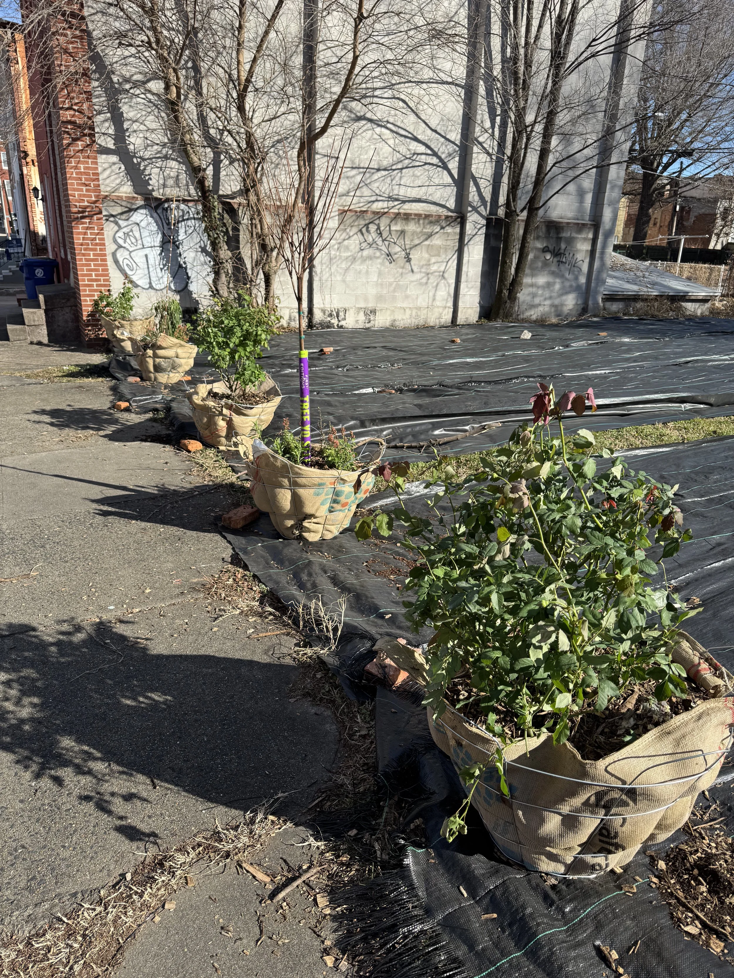 Saj @ Permaculture Design Course 