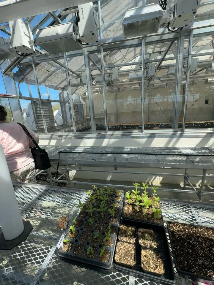 Had the pleasure of visiting @towsonuniversity greenhouse with a Master Naturalist class.