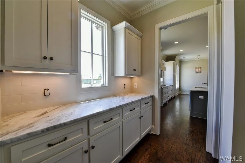 Butler pantry and kitchen approach