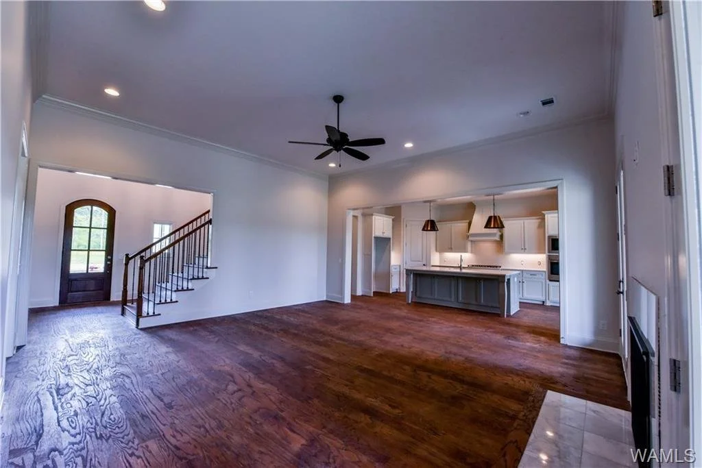 Living room and entry