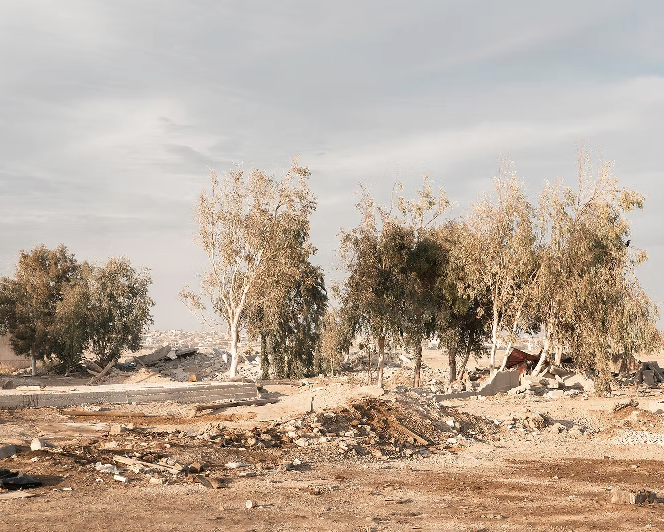 Screenshot 2026-01-09 at 5.35.21 PM.png