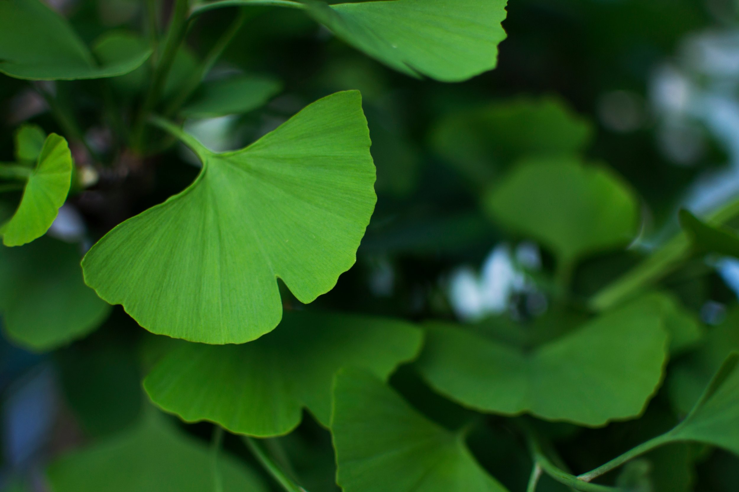 AdobeStock_294149111.jpeg