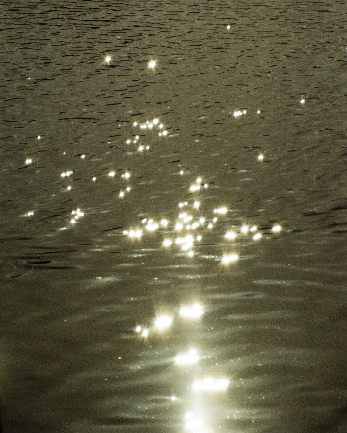 Sparkle szn pending ✨✨✨

#editorialweddingphotography #editorialwedding #ukweddingphotographer #londonweddingphotographer #35mmfilmphotography #35mmwedding #filmwedding #travelonfilm