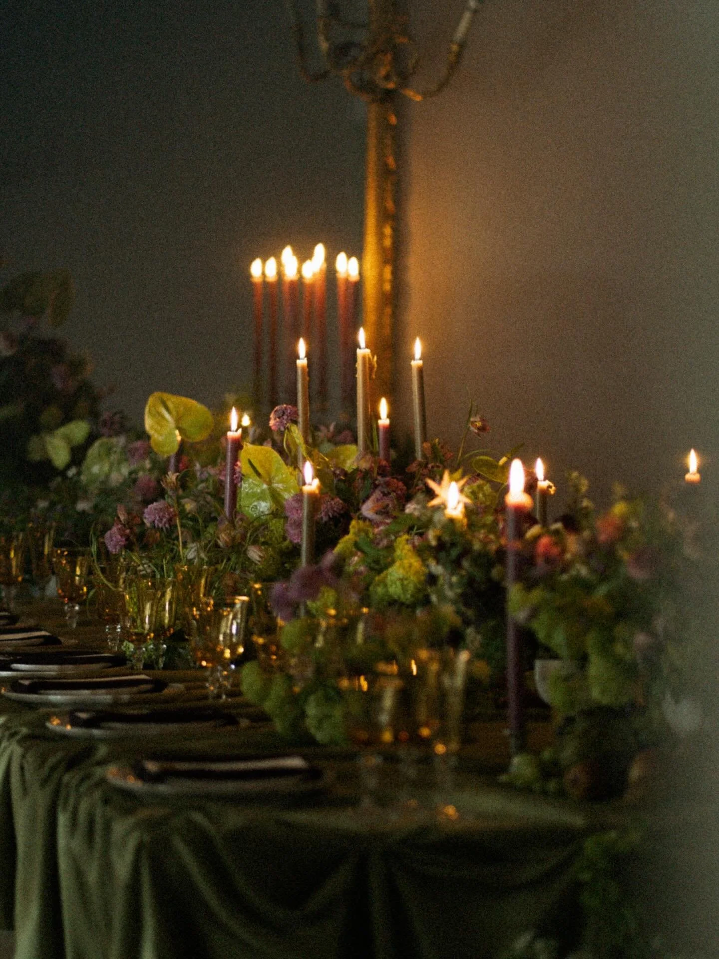 Frames from last February at @garthmylhall with @storiesof_events &amp; @elevate_workshops 

Always drawn to florals and the finer details, and this gallery holds my attention every time ✨ I&rsquo;ll be returning to @garthmylhall this autumn, and I c