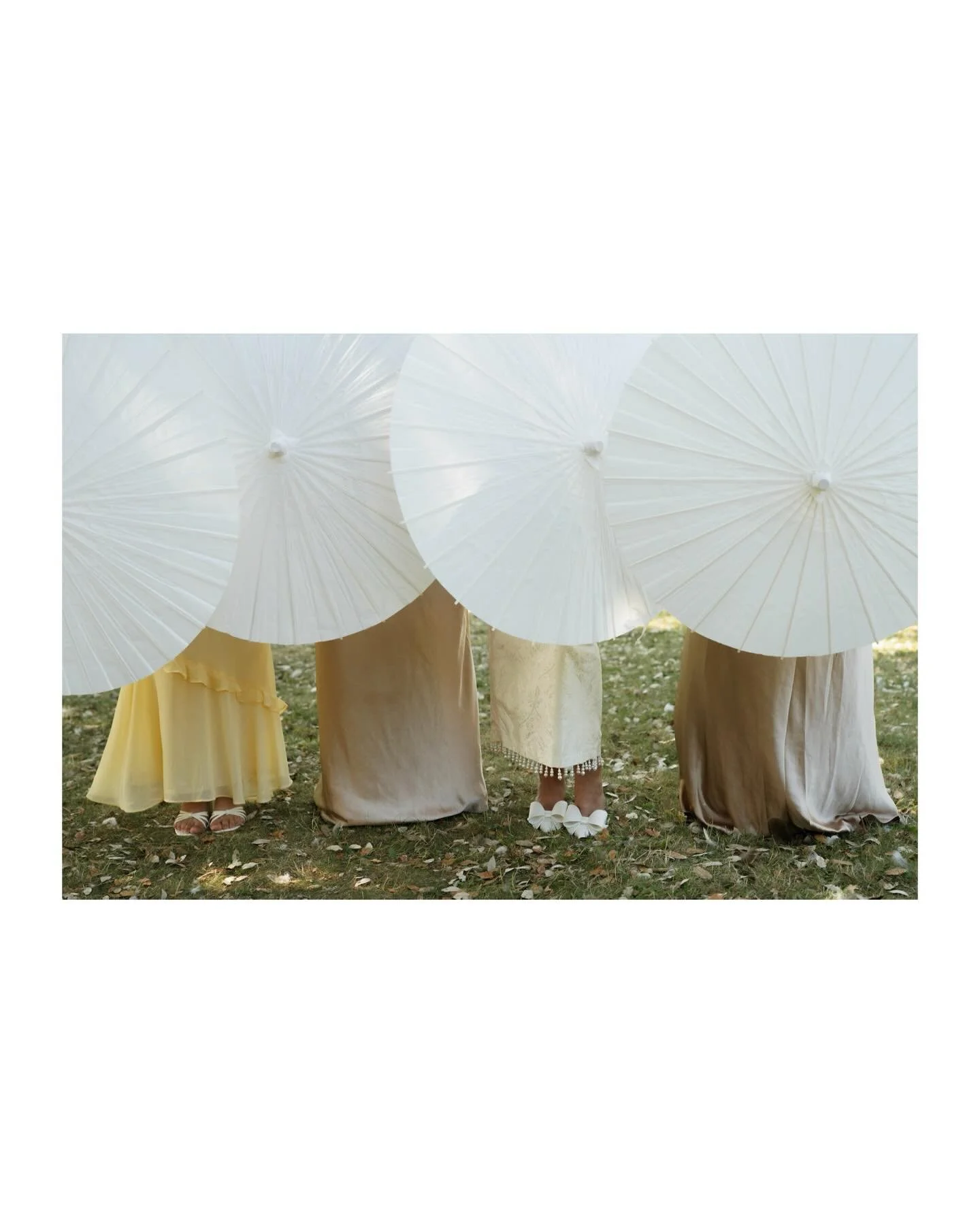 Moments I loved from K&amp;A&rsquo;s intimate wedding - mix of digital &amp; 35mm film. A day that felt so effortless, so intentional, and full of uninterrupted joy. ✨