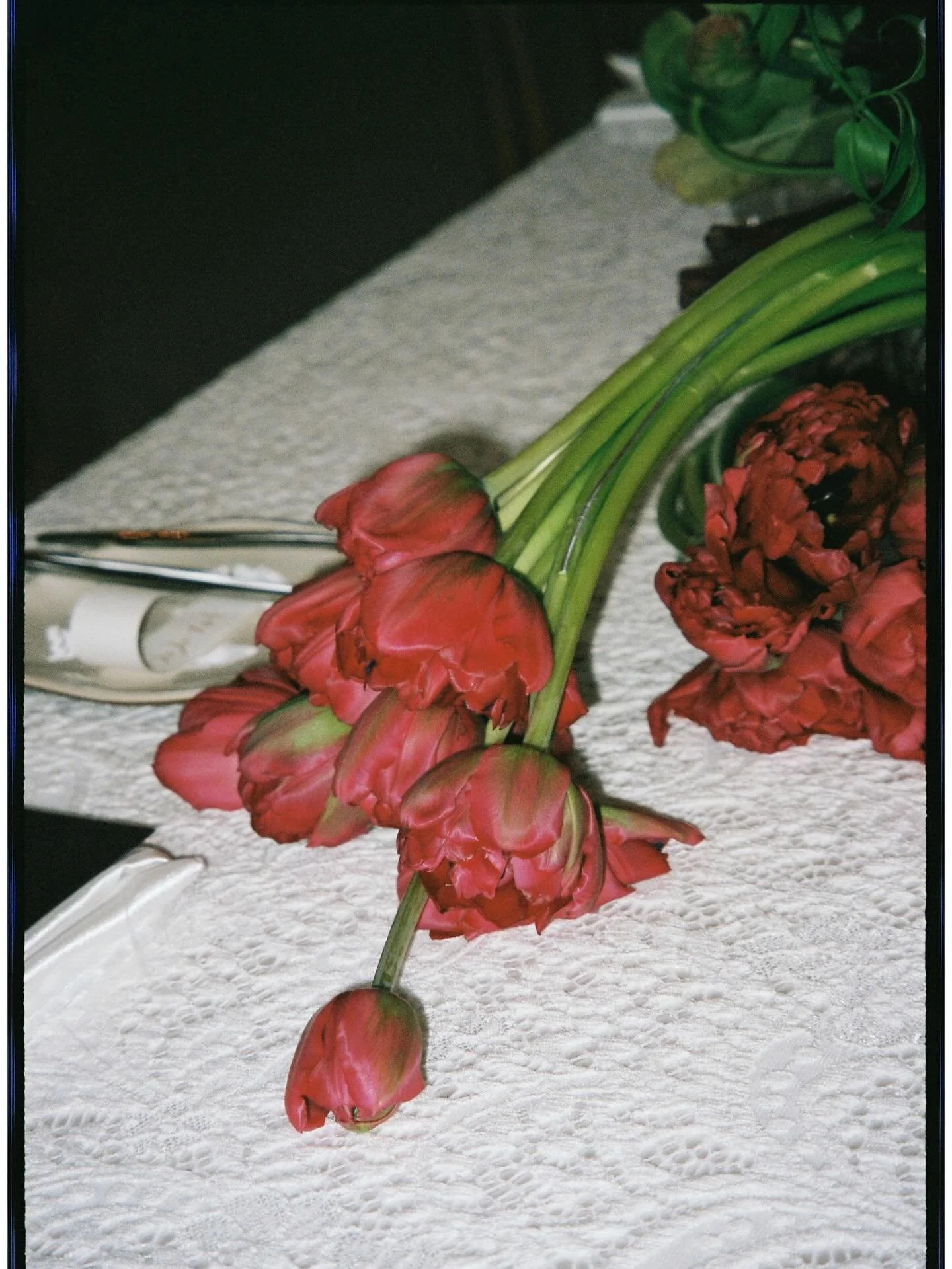 A red moment on 35mm film.

Planning and host
@fayewildephotography #fayewildeworkshops
BTS @curatedcontentco_ 
styling + design @blondearmy 
florals @katyrosemayfloral x @bybunchstudio 
cake + feasting table @clareellenstudio 
fabric @maedaeevents 

