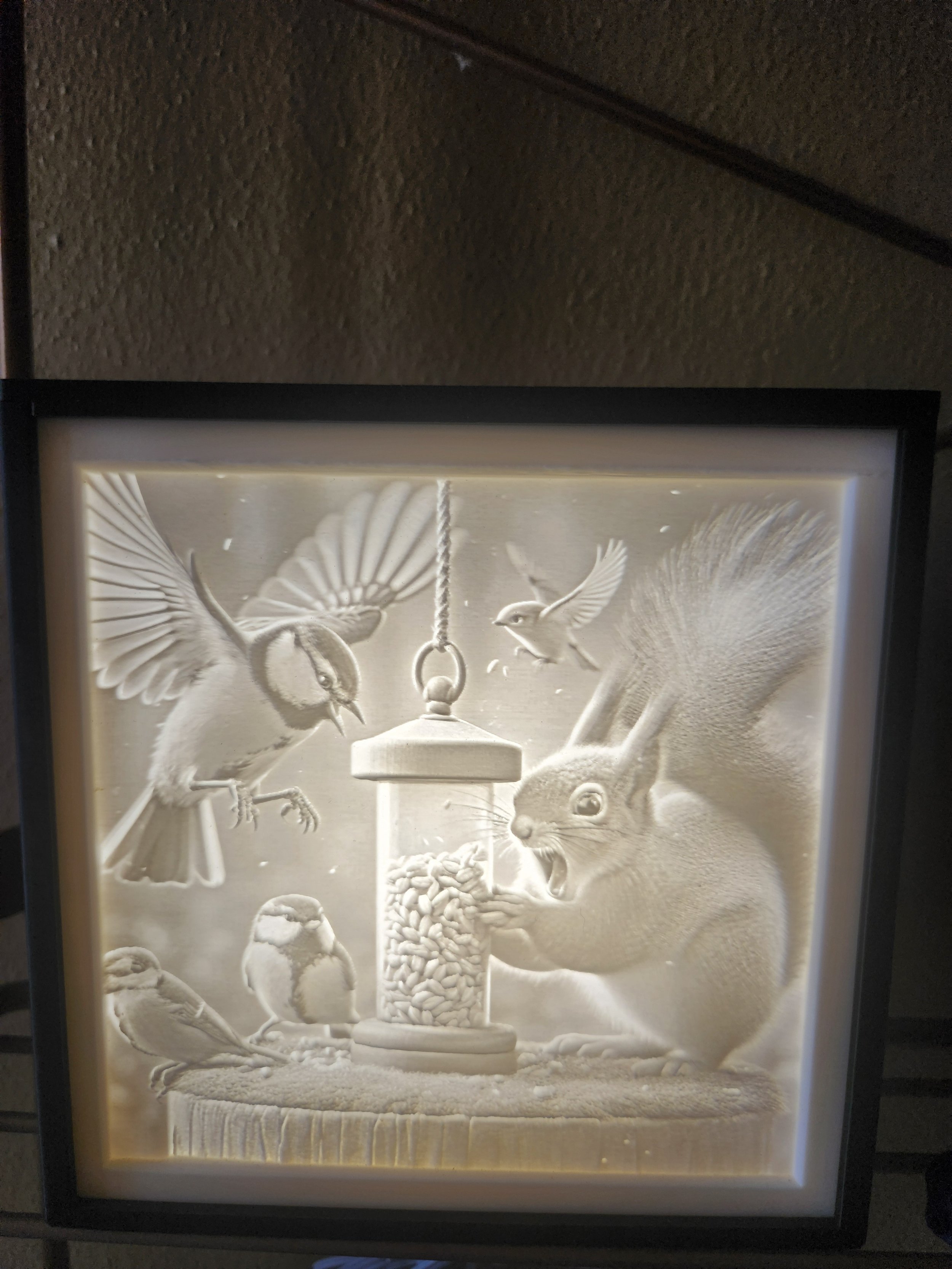 Litho Box- Nature Scenes