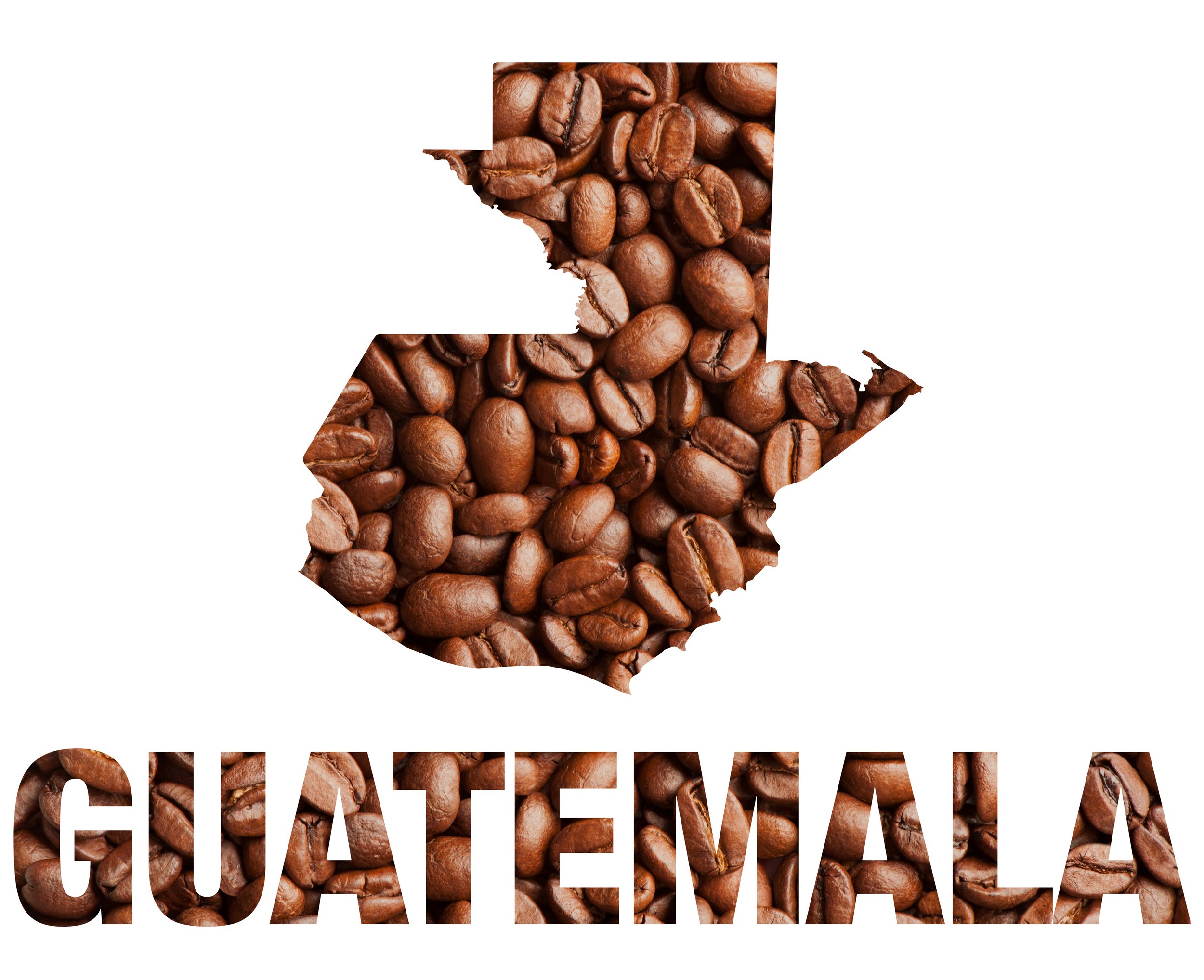Guatemala - Single Origin 16oz