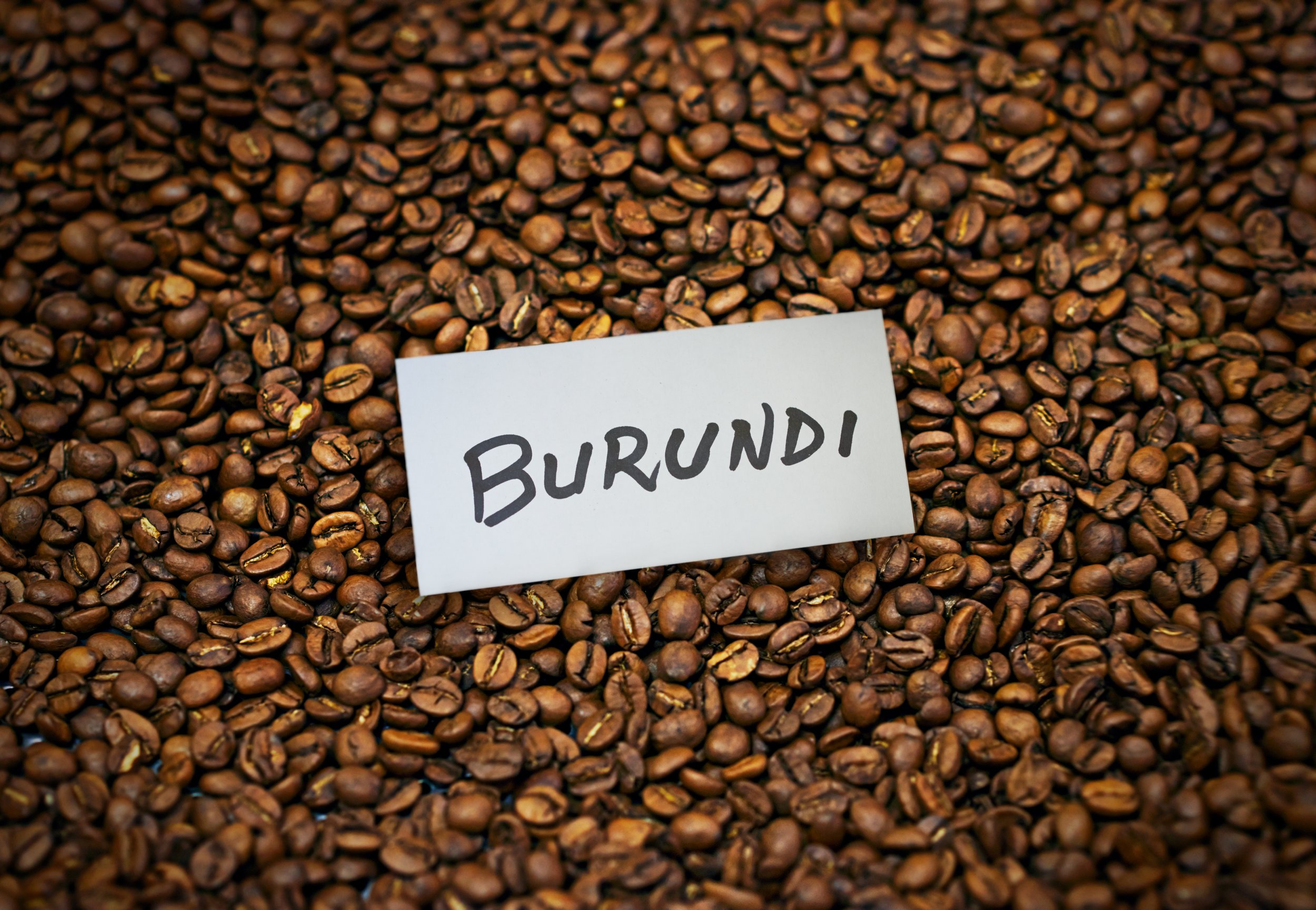 Burundi (Natural Process) 16oz
