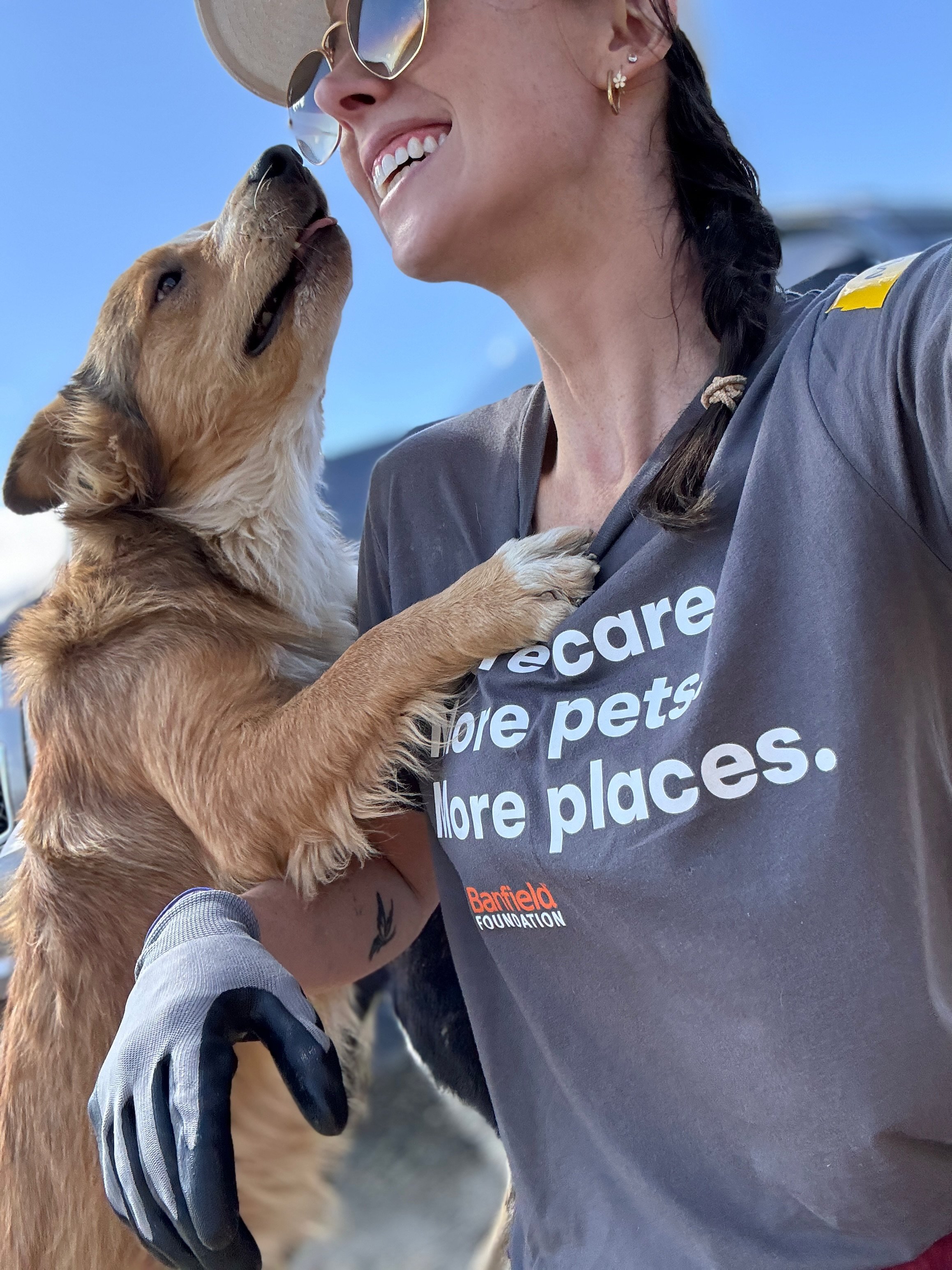 Volunteering in New Mexico within the Navajo Nation Community. Dog giving kisses to volunteer. Building Enclosures to keep pets safe from wildlife, cars, and other dangers. 