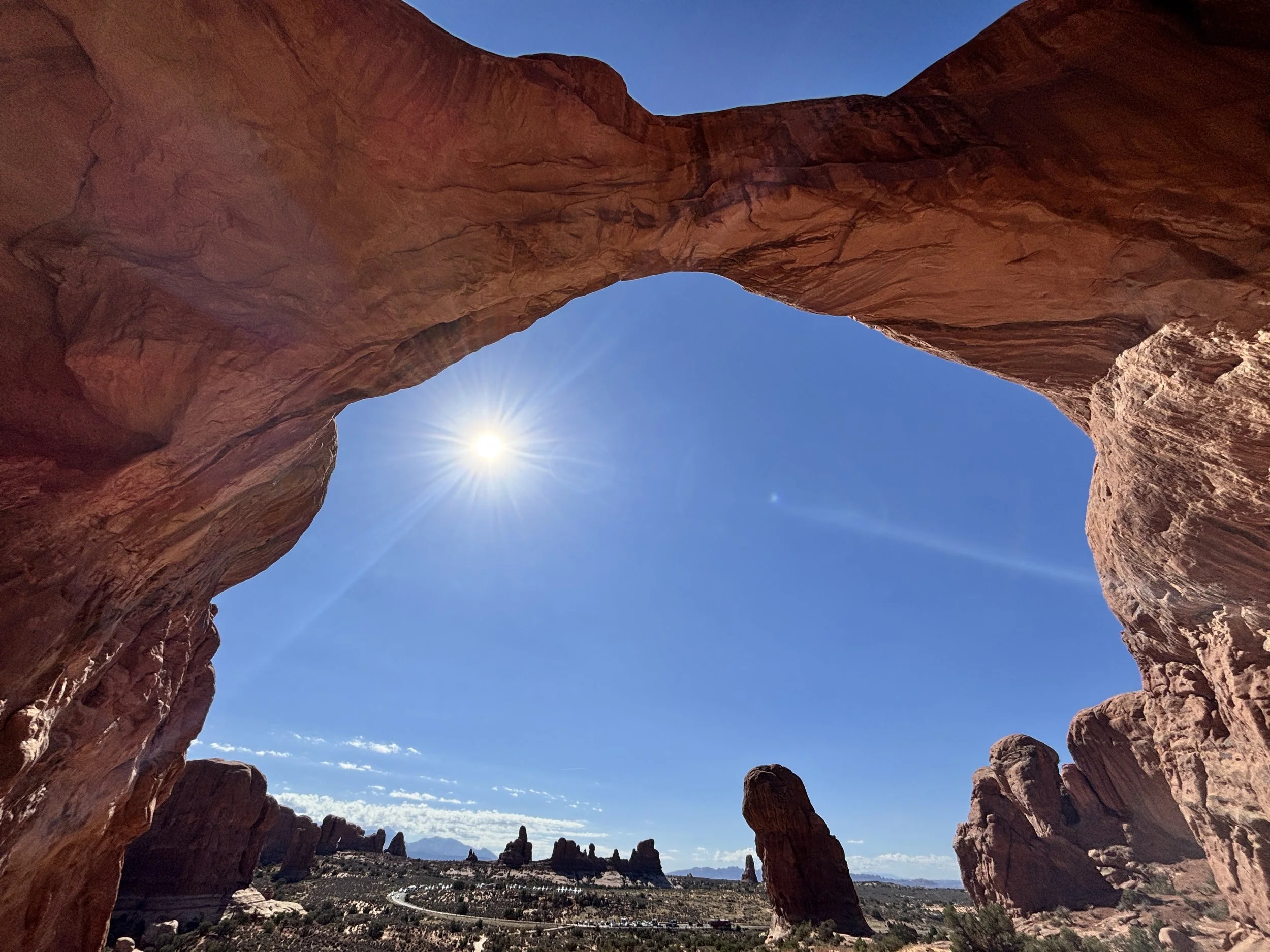 What Follows Us Home 