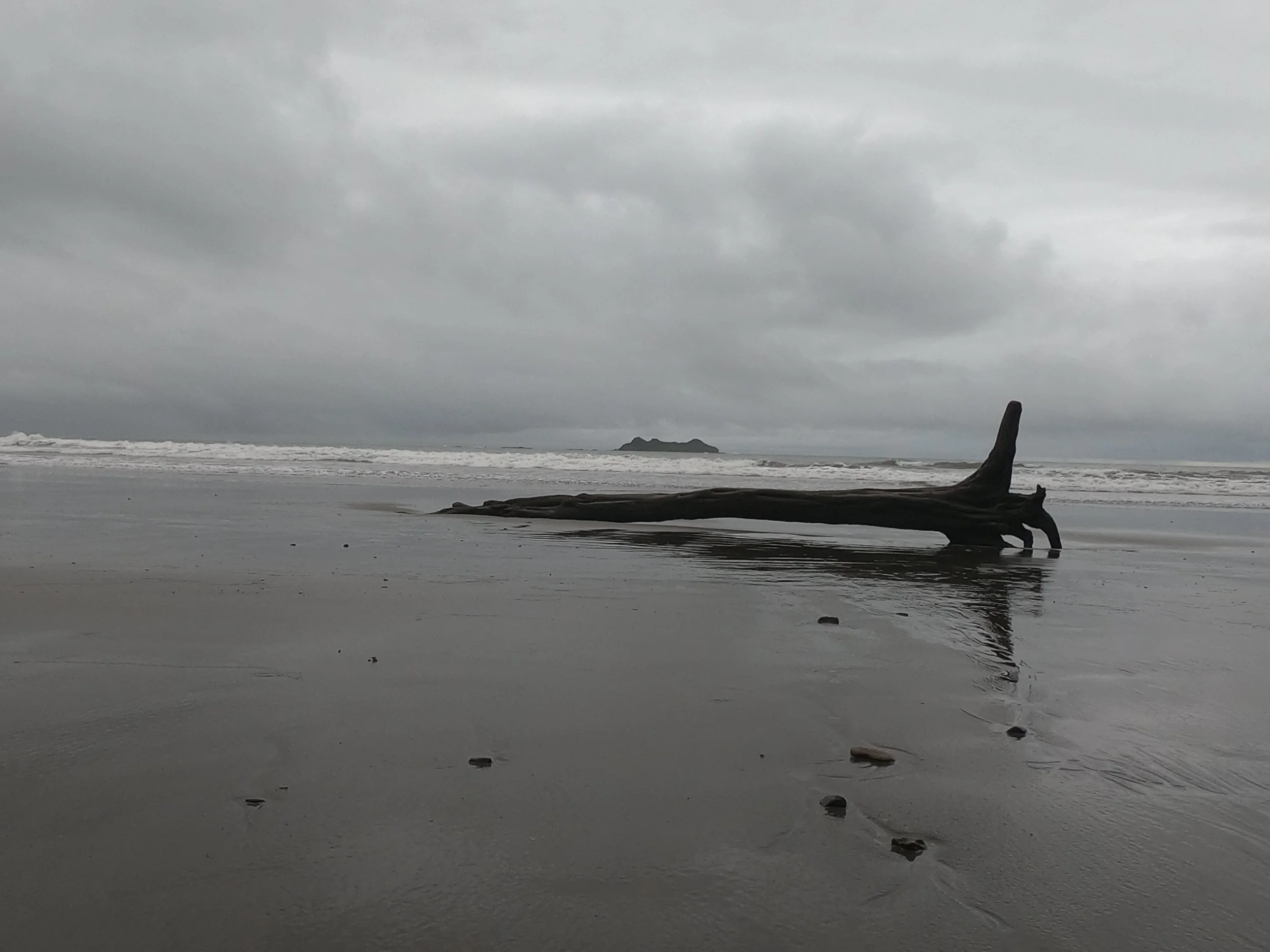 GPTempDownload (4).JPG