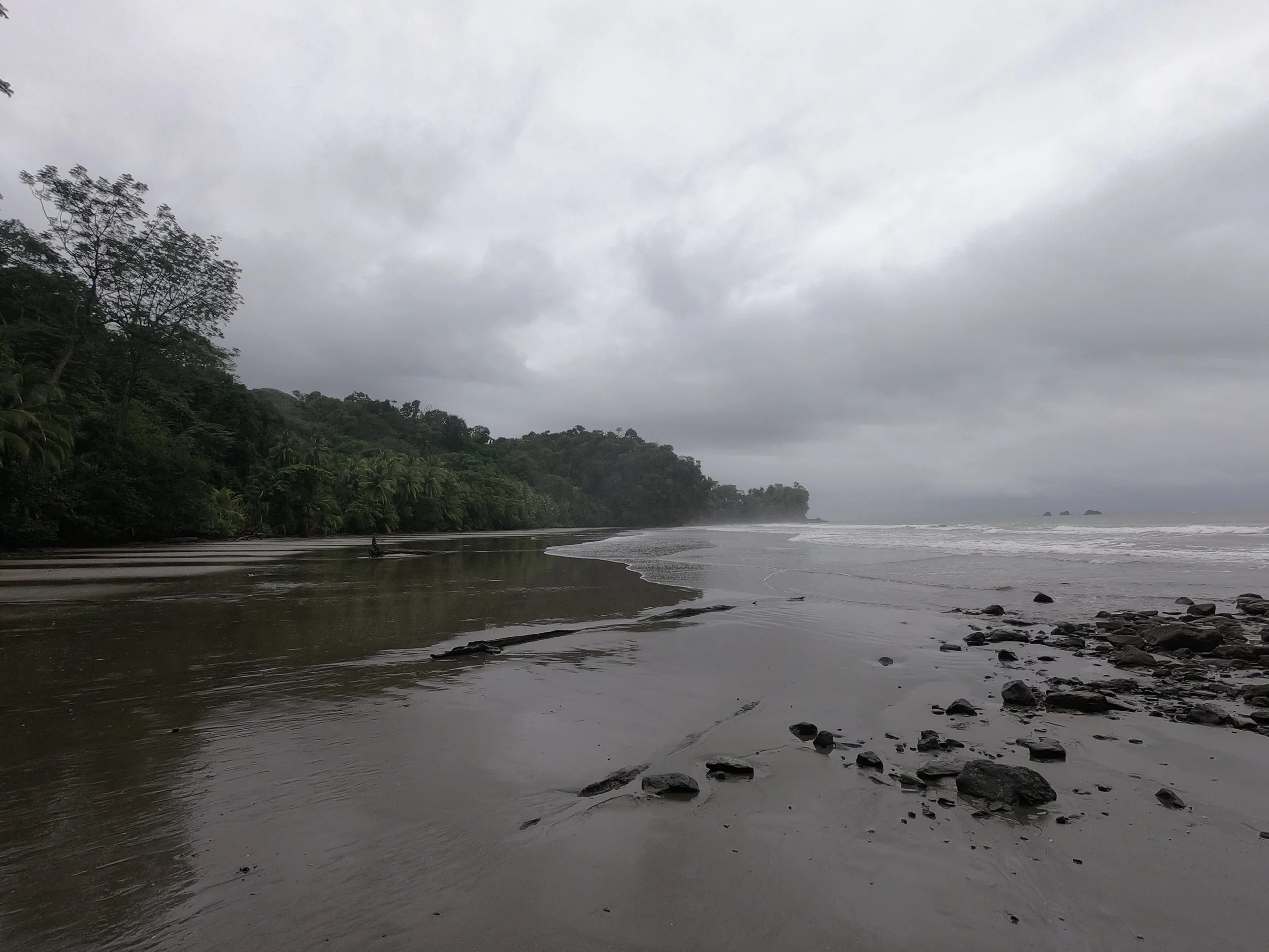 GPTempDownload (3).JPG