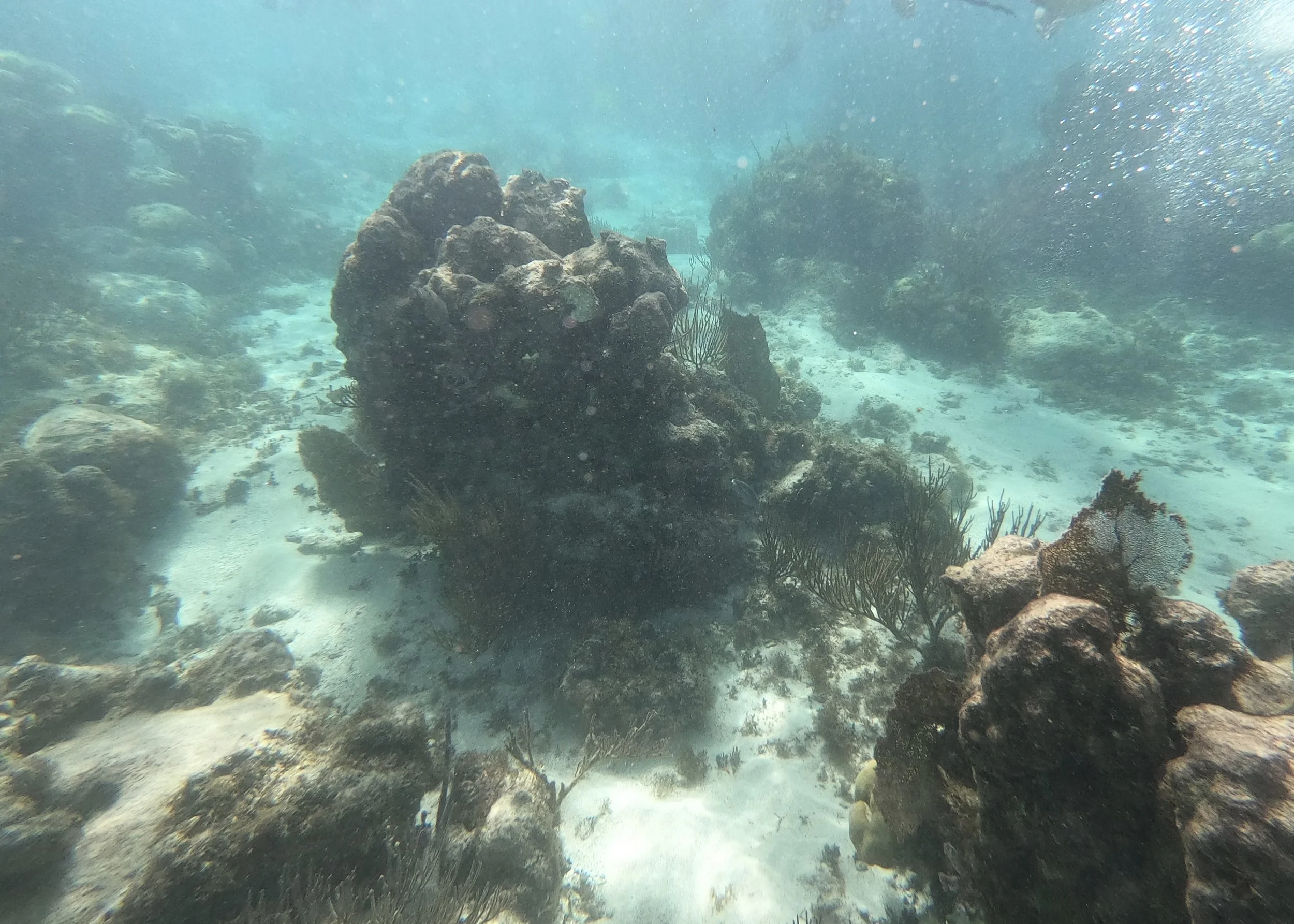 GPTempDownload (2).jpg