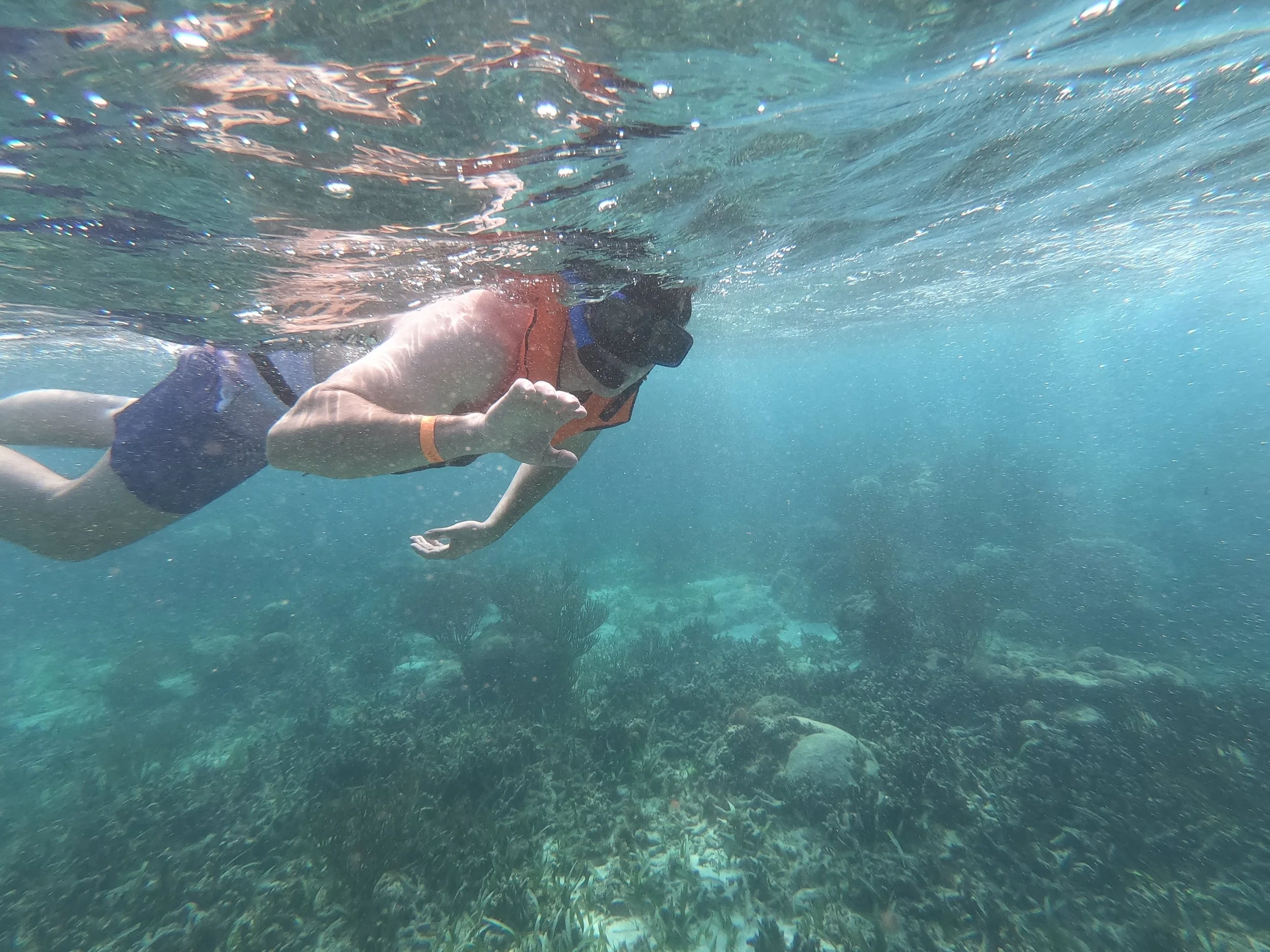 GPTempDownload (7).jpg