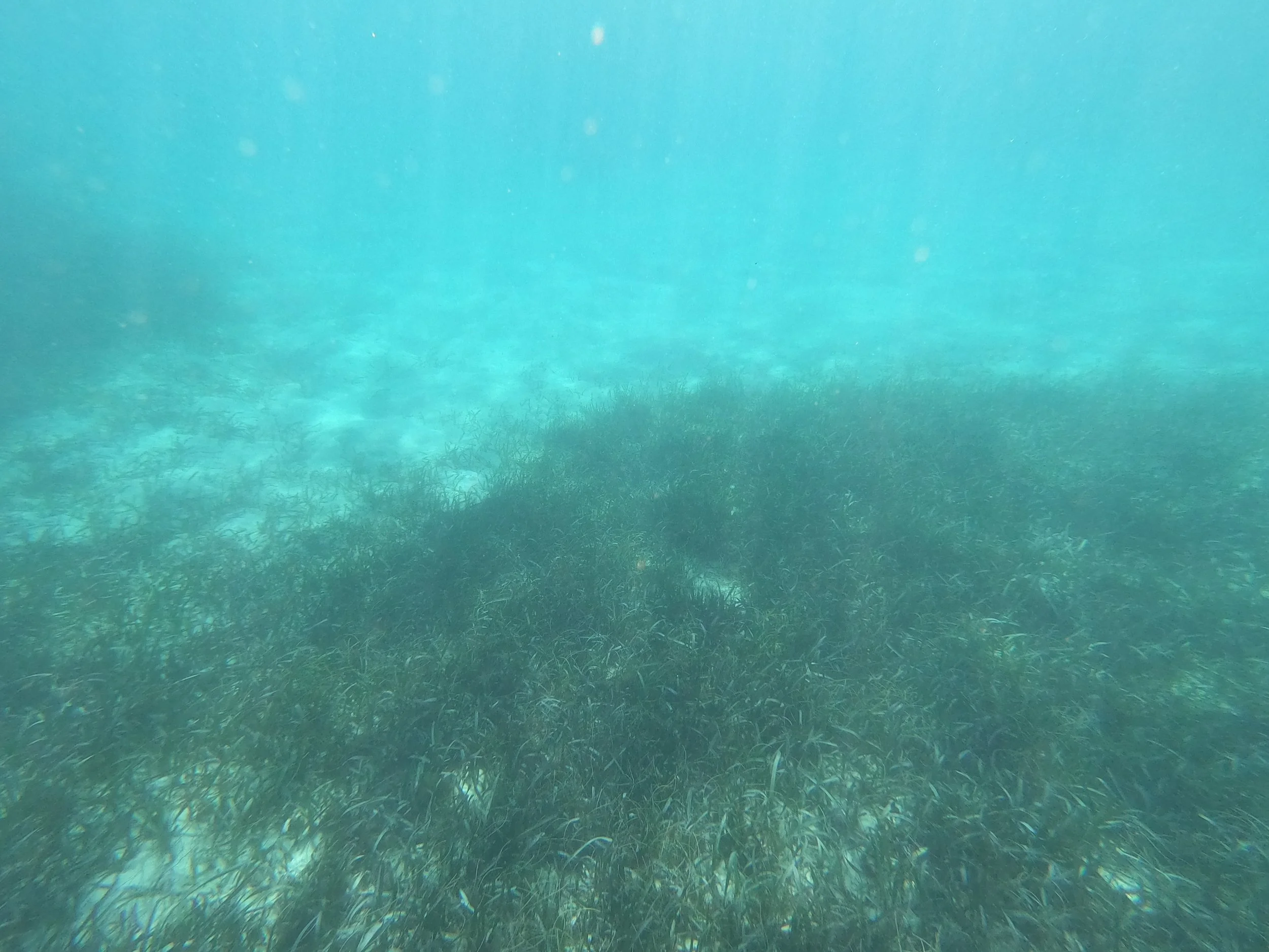 GPTempDownload (13).jpg