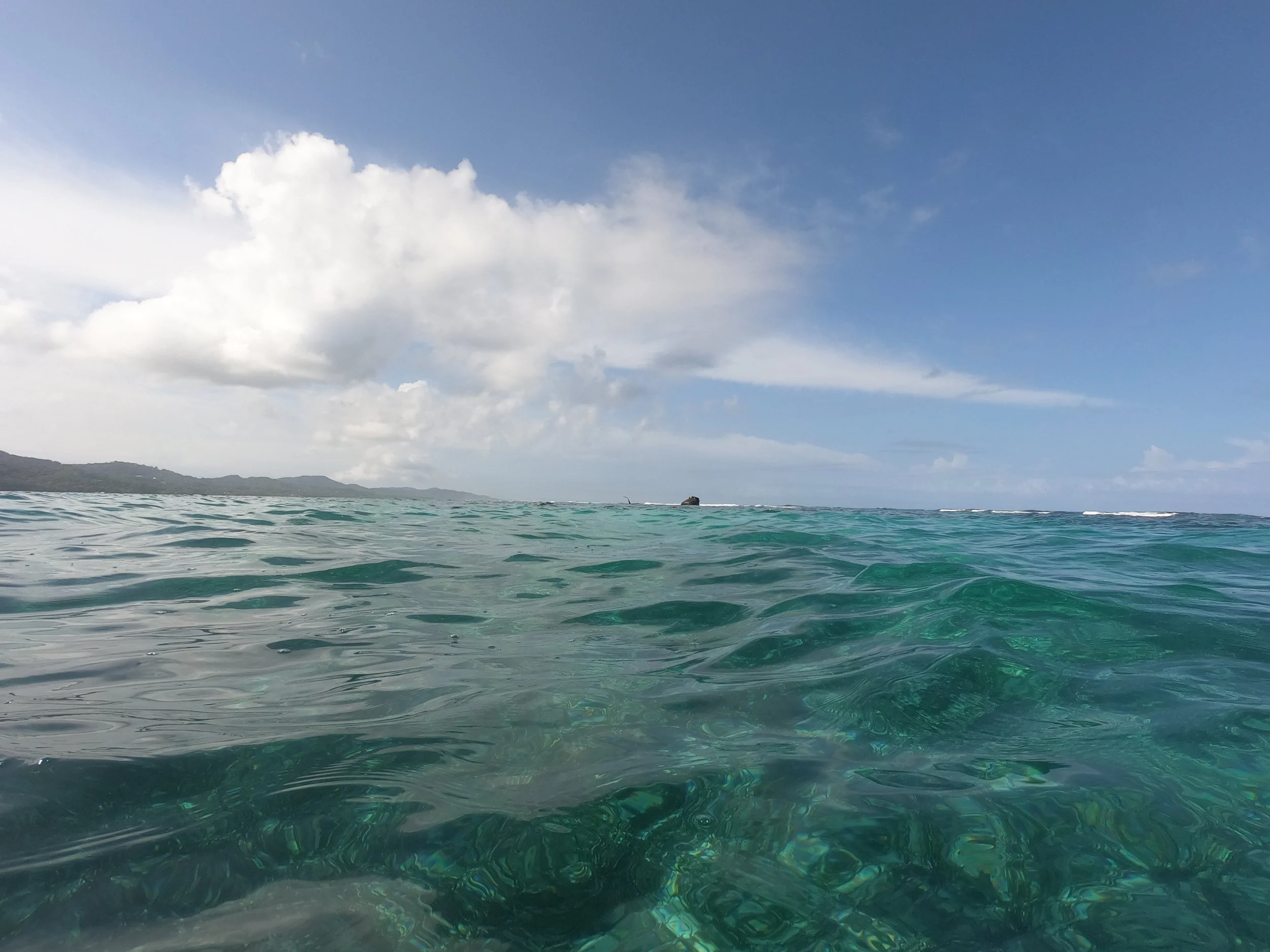 GPTempDownload (18).jpg