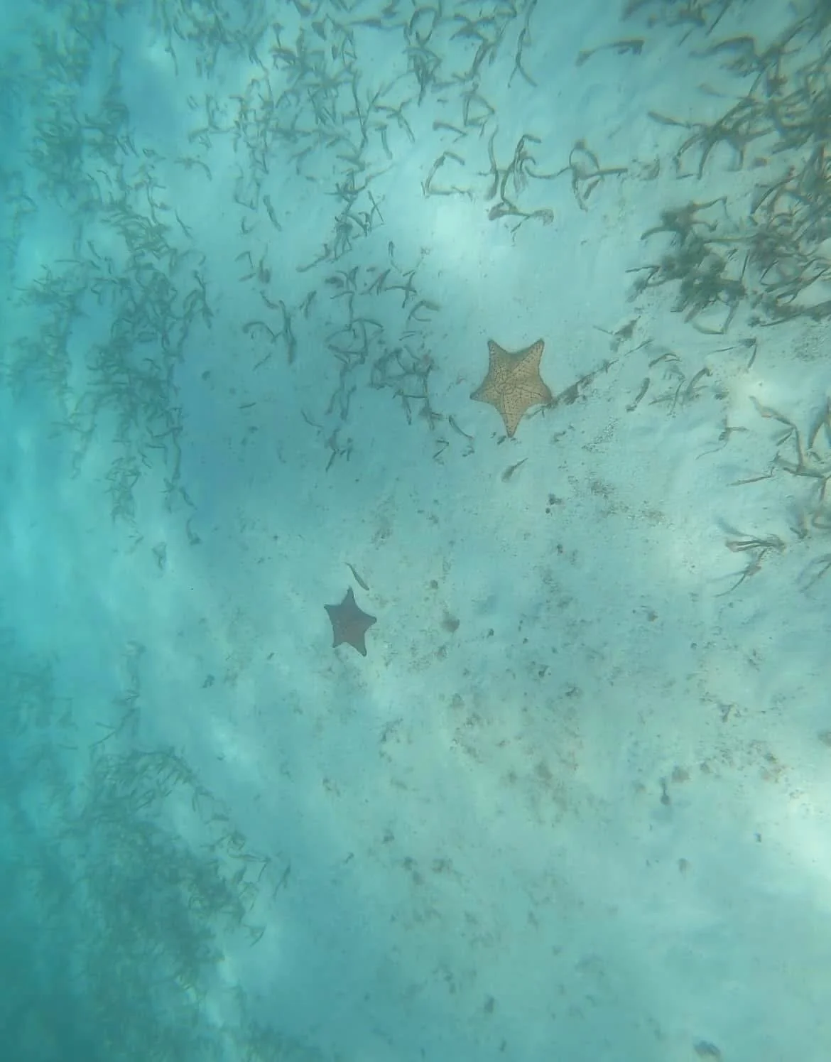 Cruising Through The Carribean