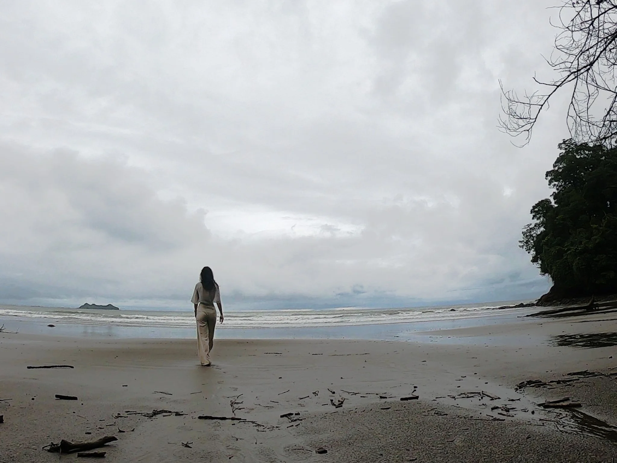 You Should Have Asked