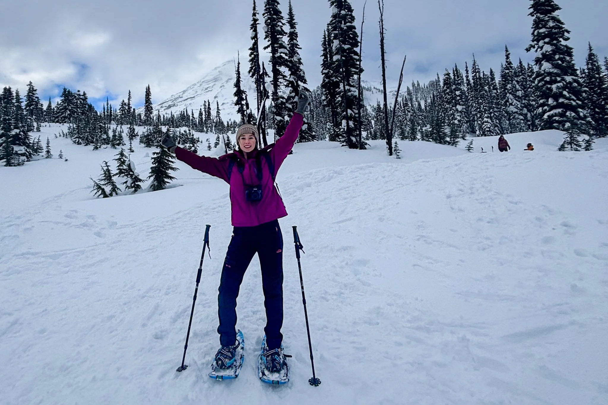 Renewal Within Mt. Rainier