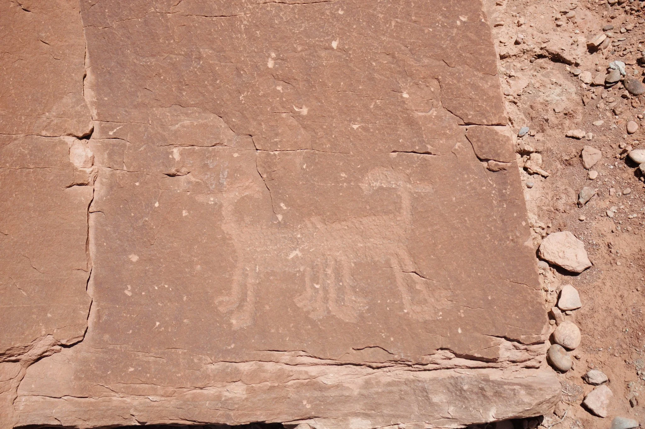 Potash Road - Petroglyphs