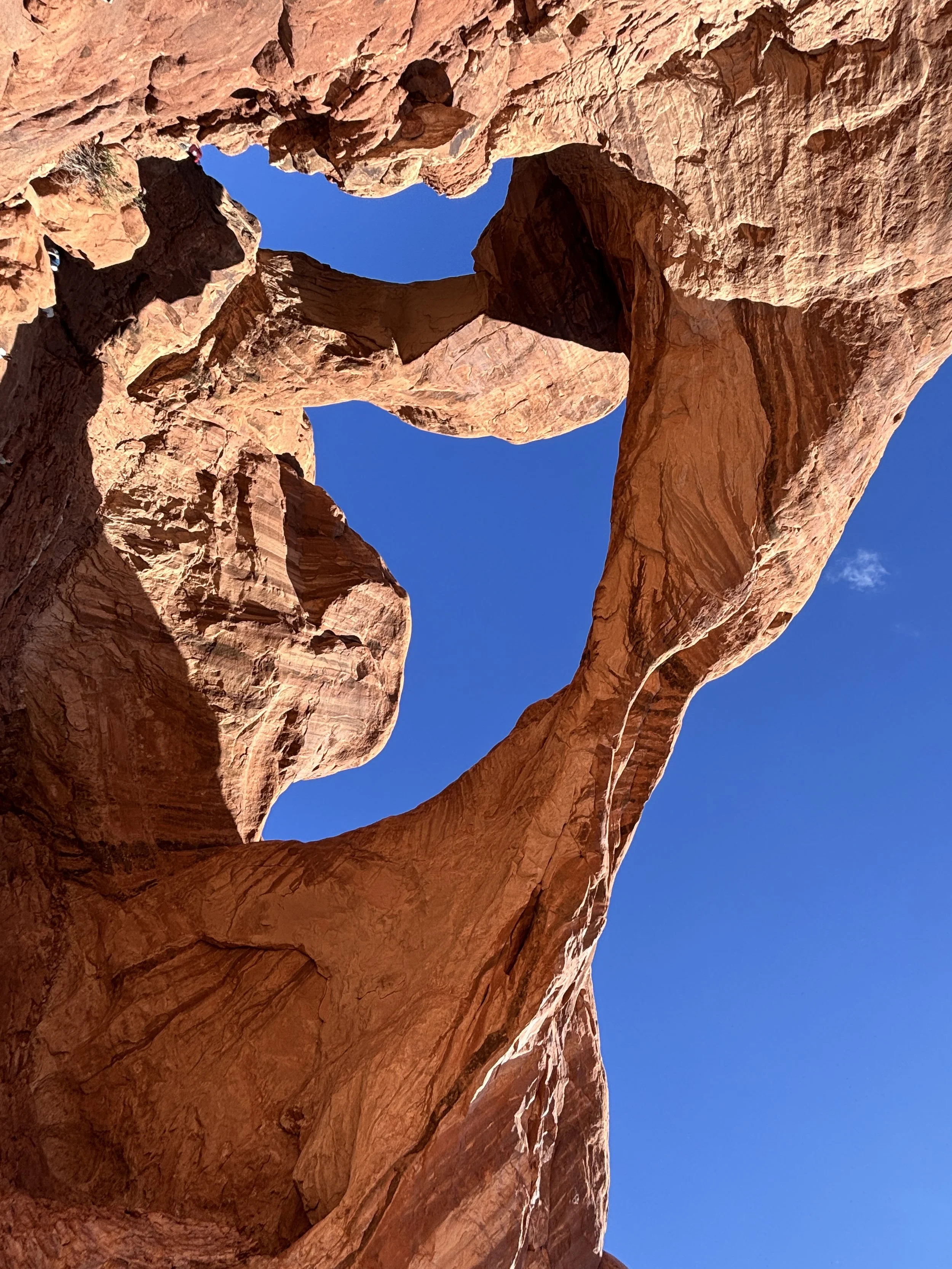 Arches National Park