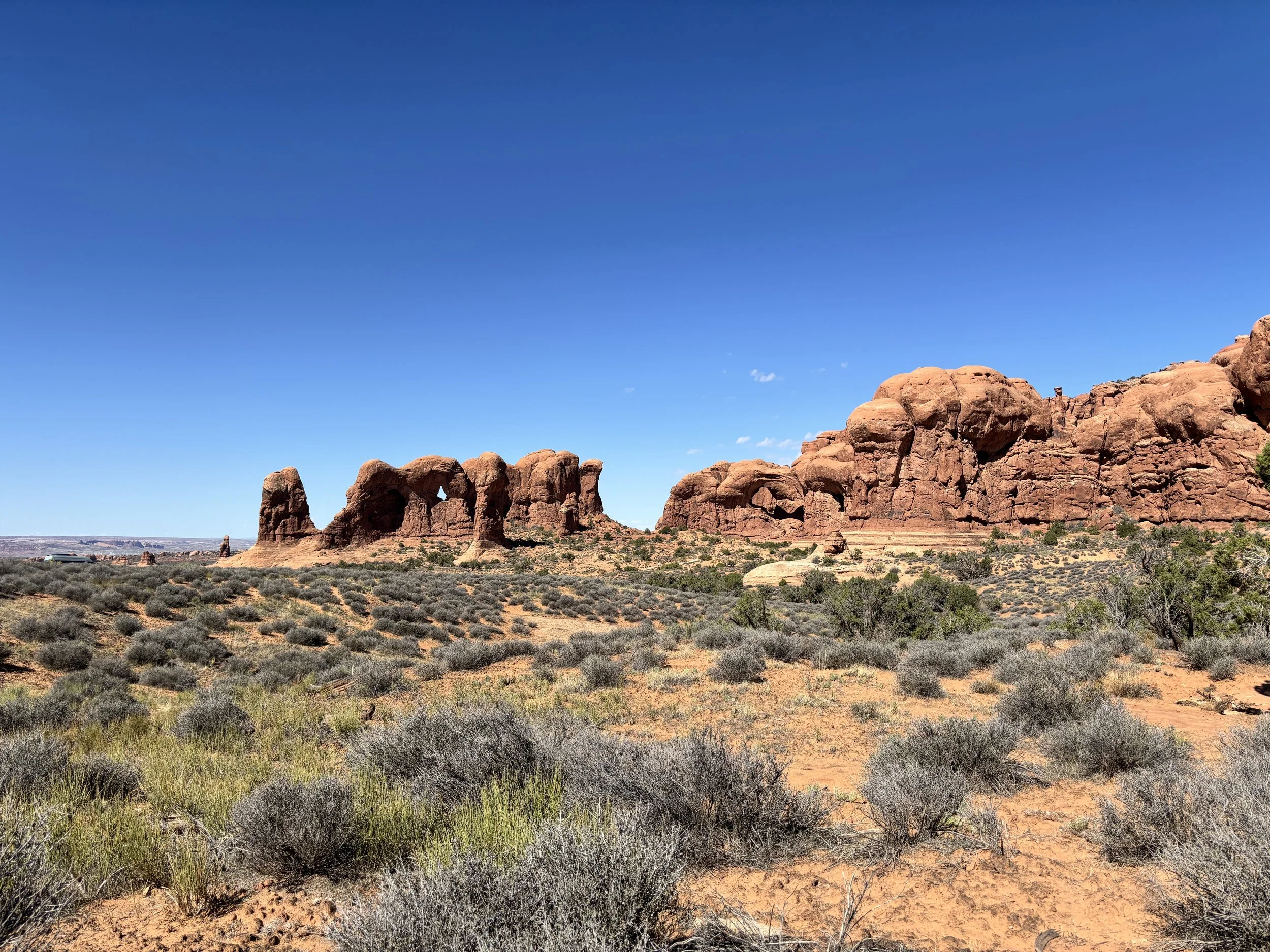 IMG_5810.JPG