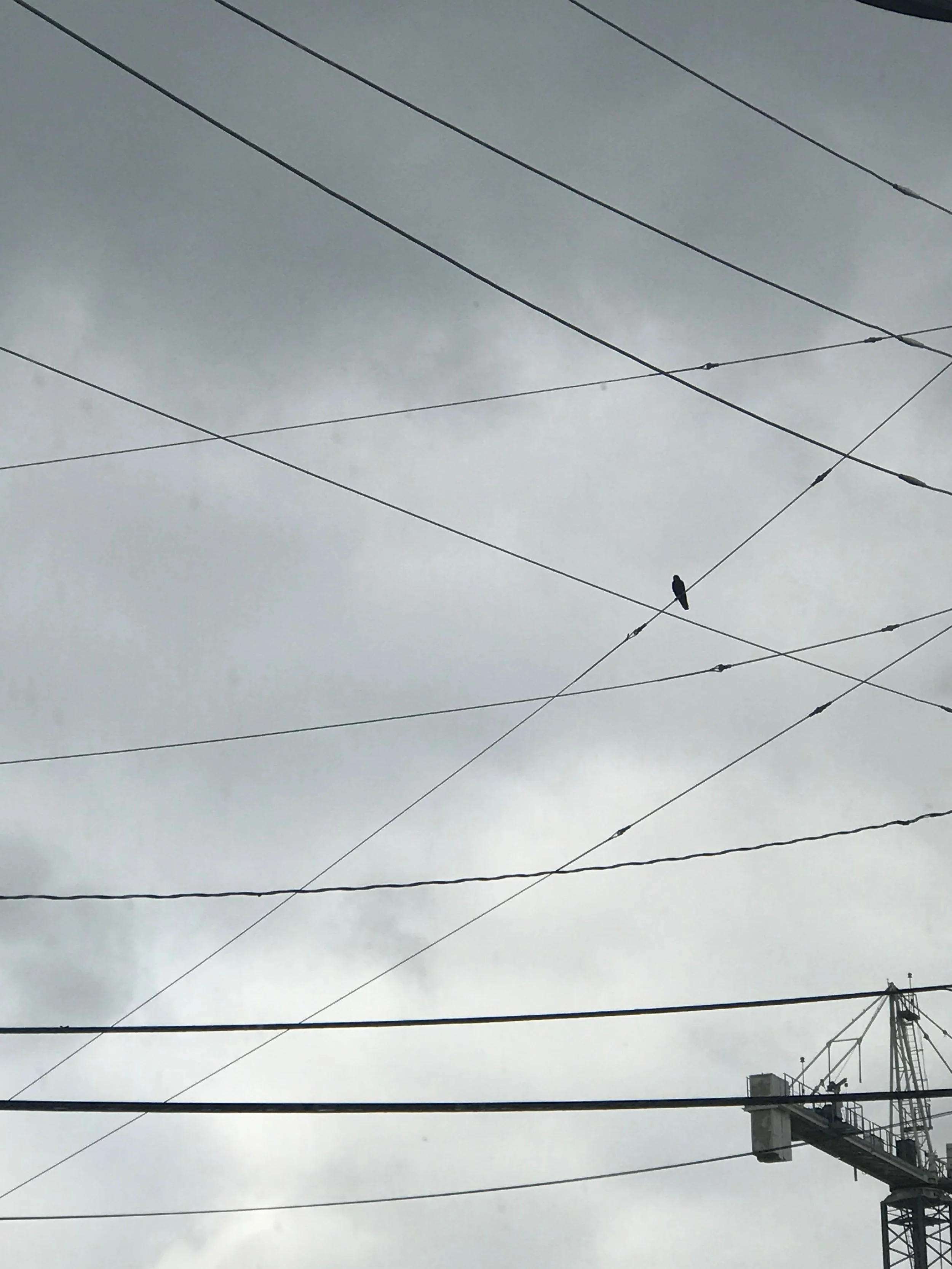 IMG_9074.jpeg
