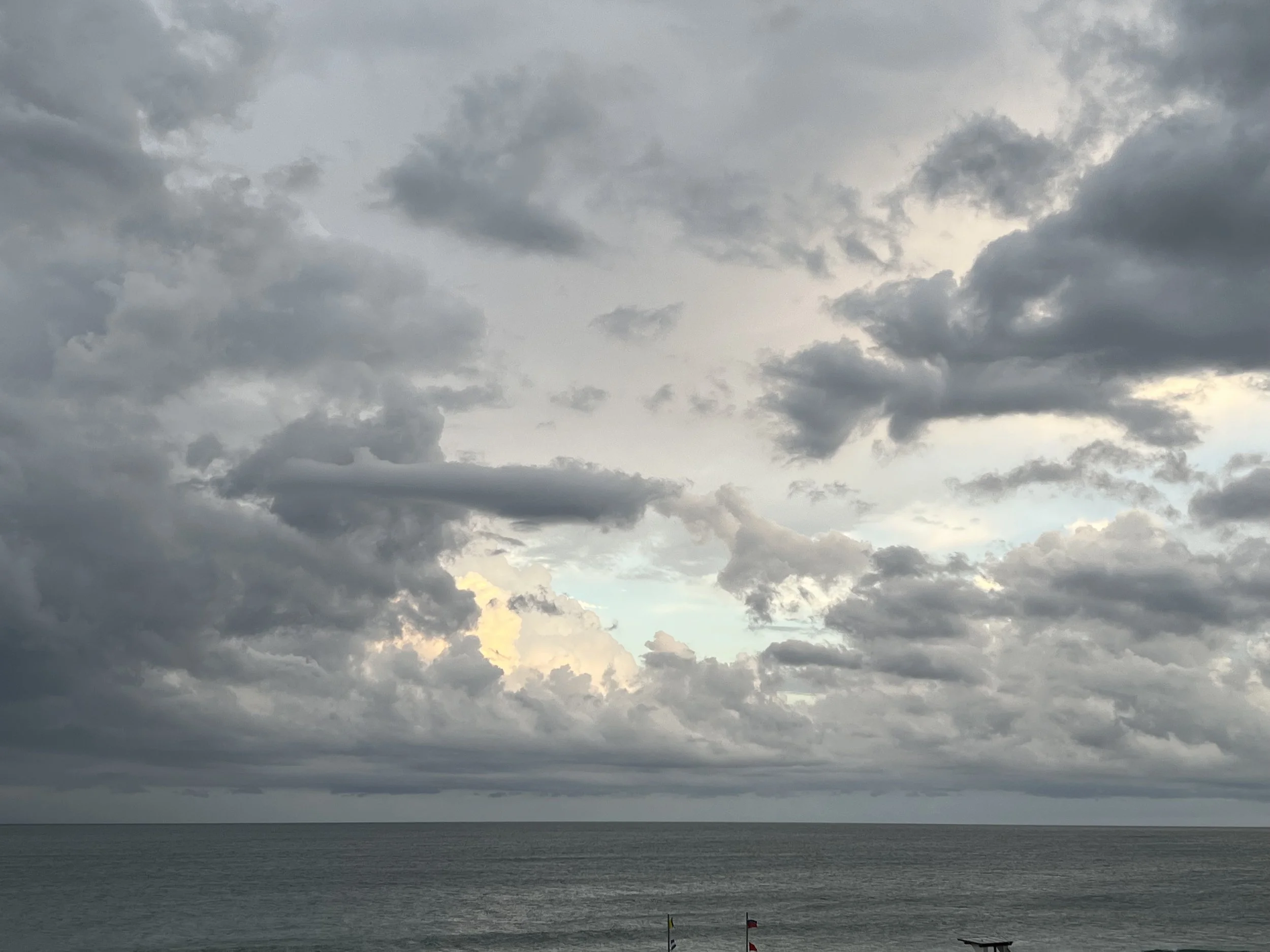 IMG_1550.jpeg