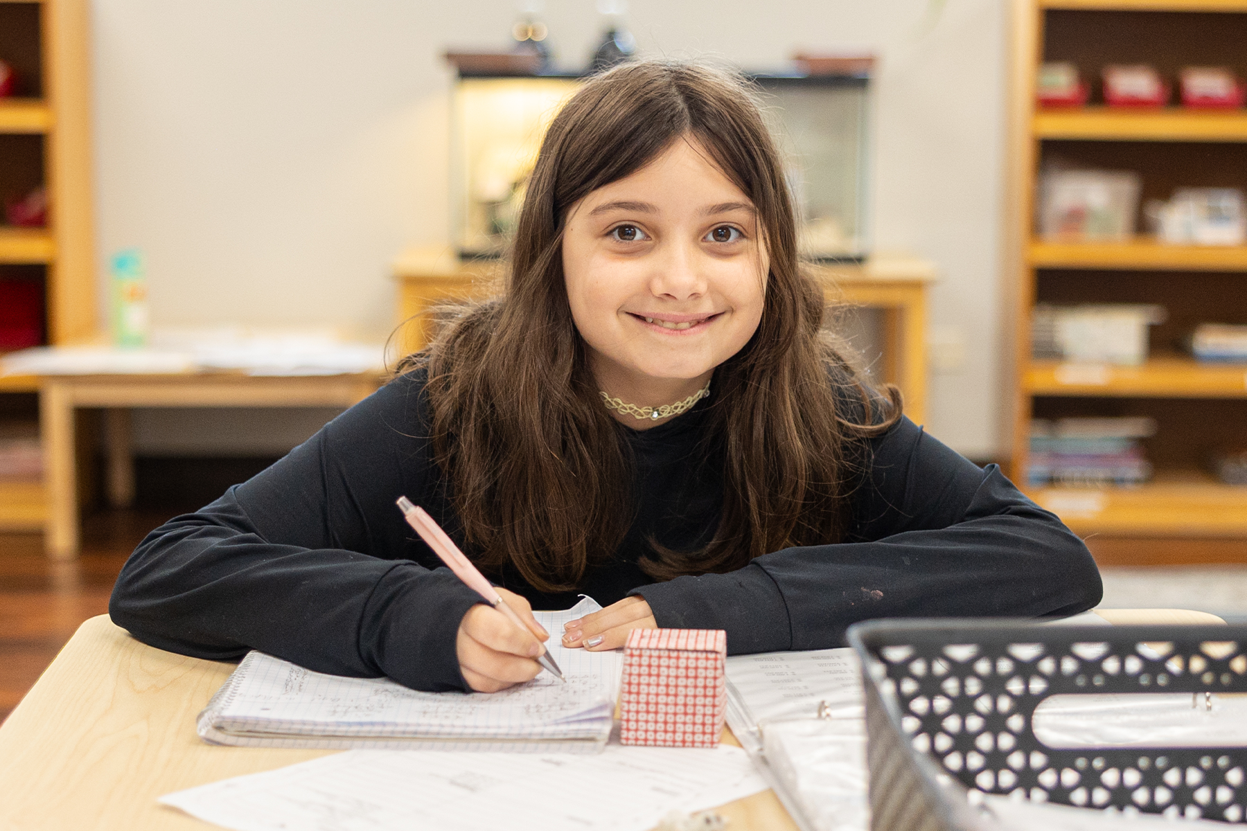 Elementary M.A.P. Testing