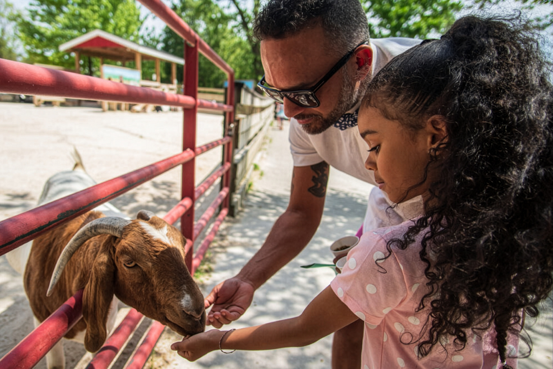 Primary Trip: Randall Oaks Zoo