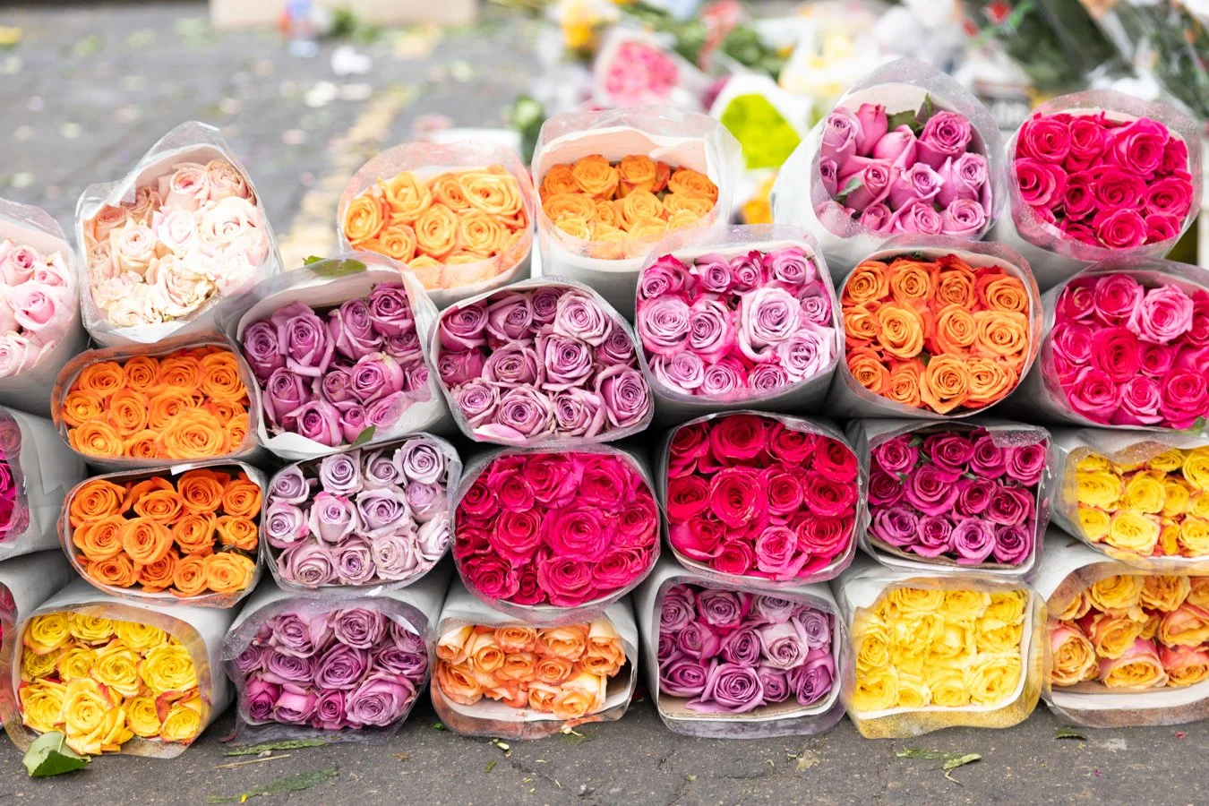 Marcher-fleurs-bogota-.jpg
