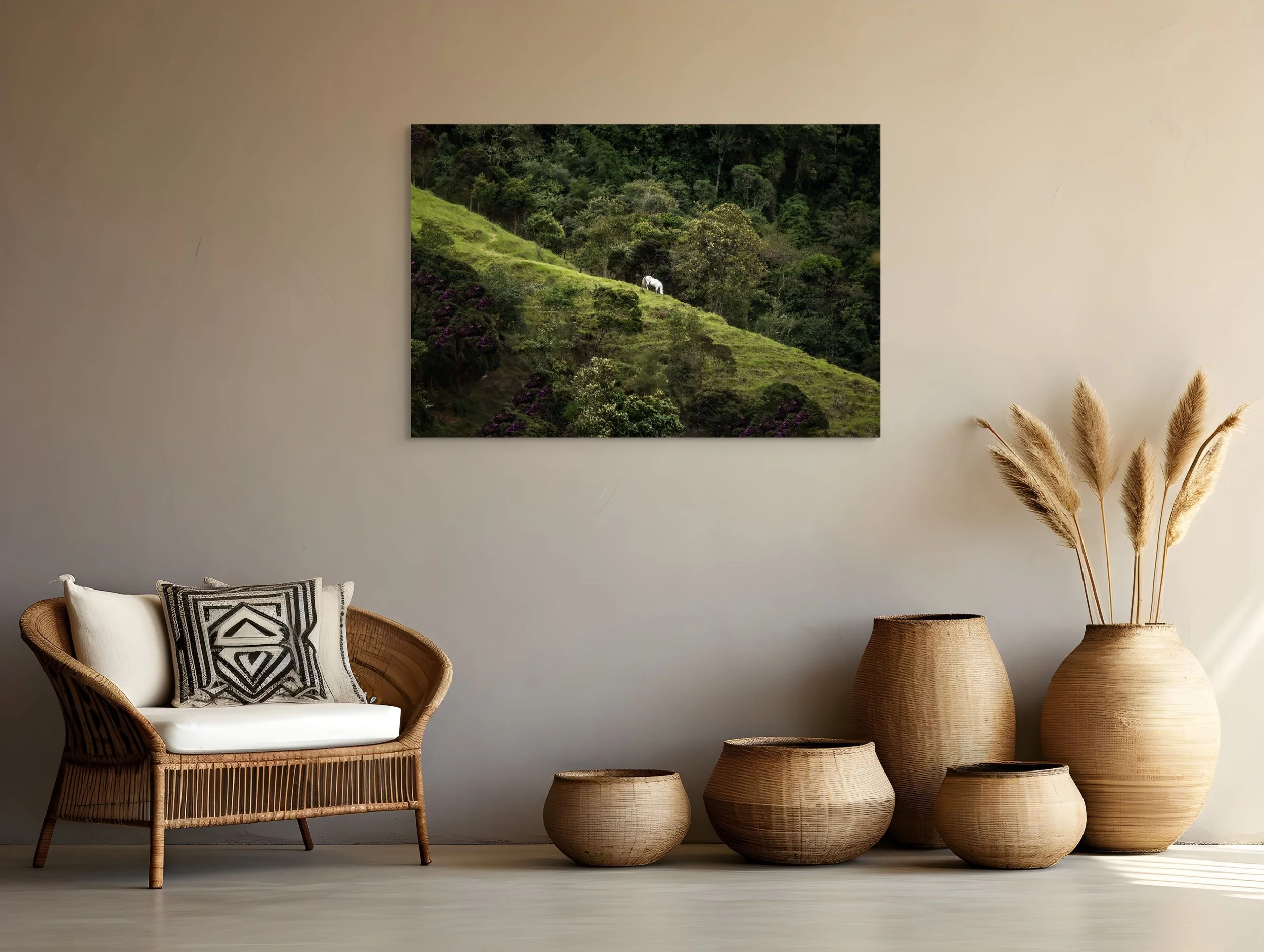 toile-art-mural-cheval-blanc-cocora-colombie.jpeg