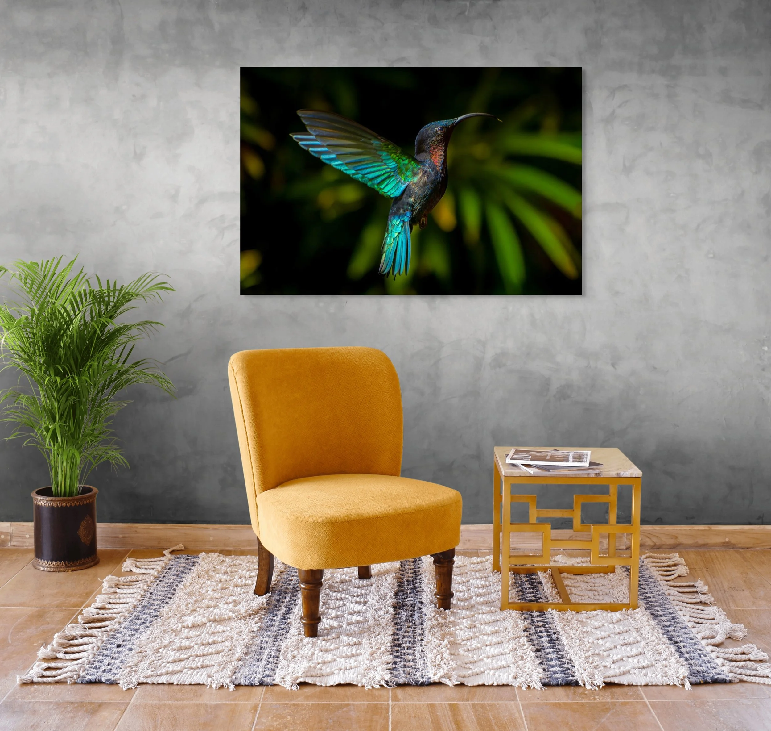 Photographie murale colibri en vol – Art photographique nature
