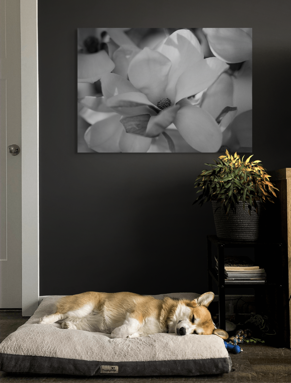 toile-decorative-fleurs-noir-et-blanc-grand-format.png