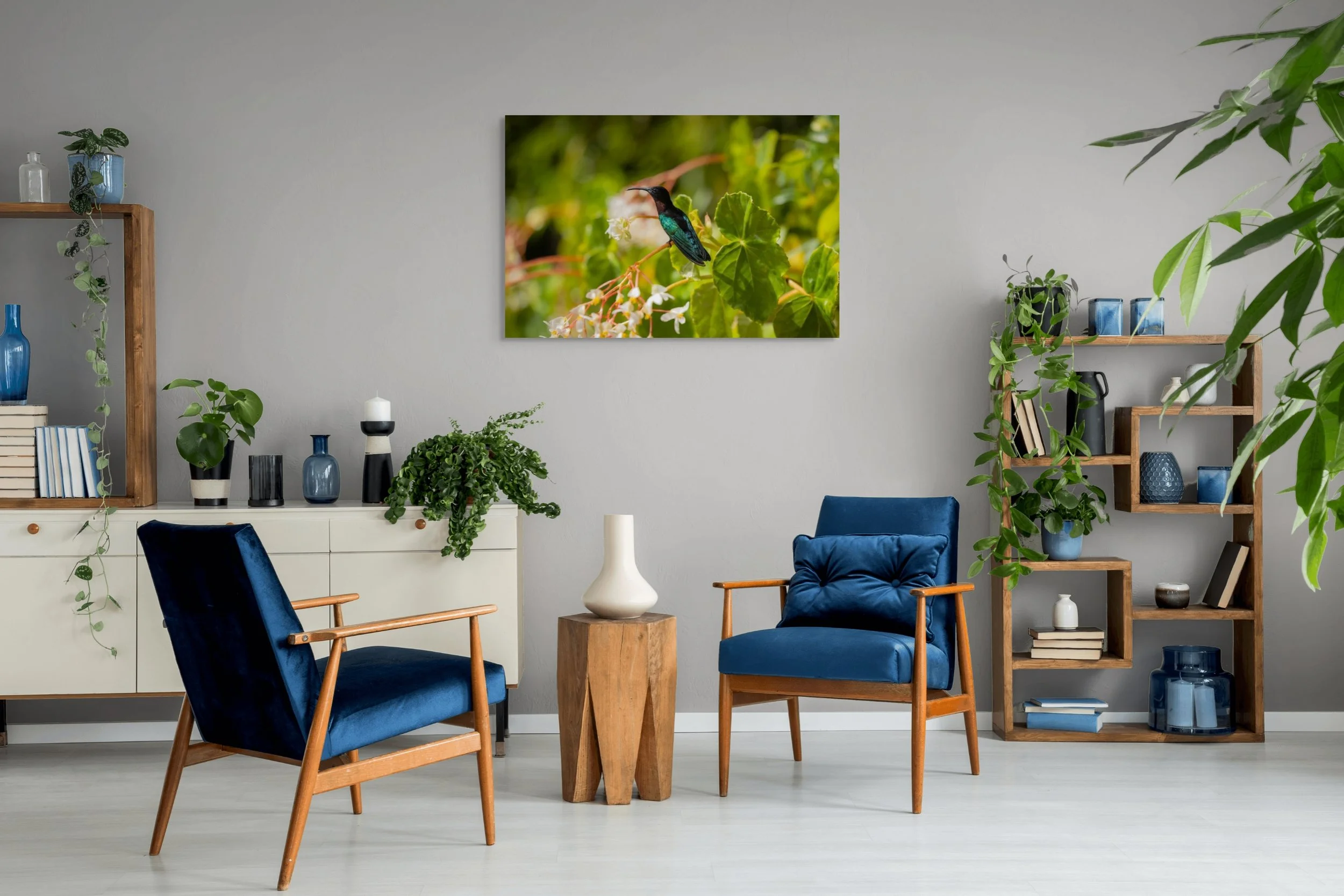 colibris perche sur arbustes-full-2.jpeg