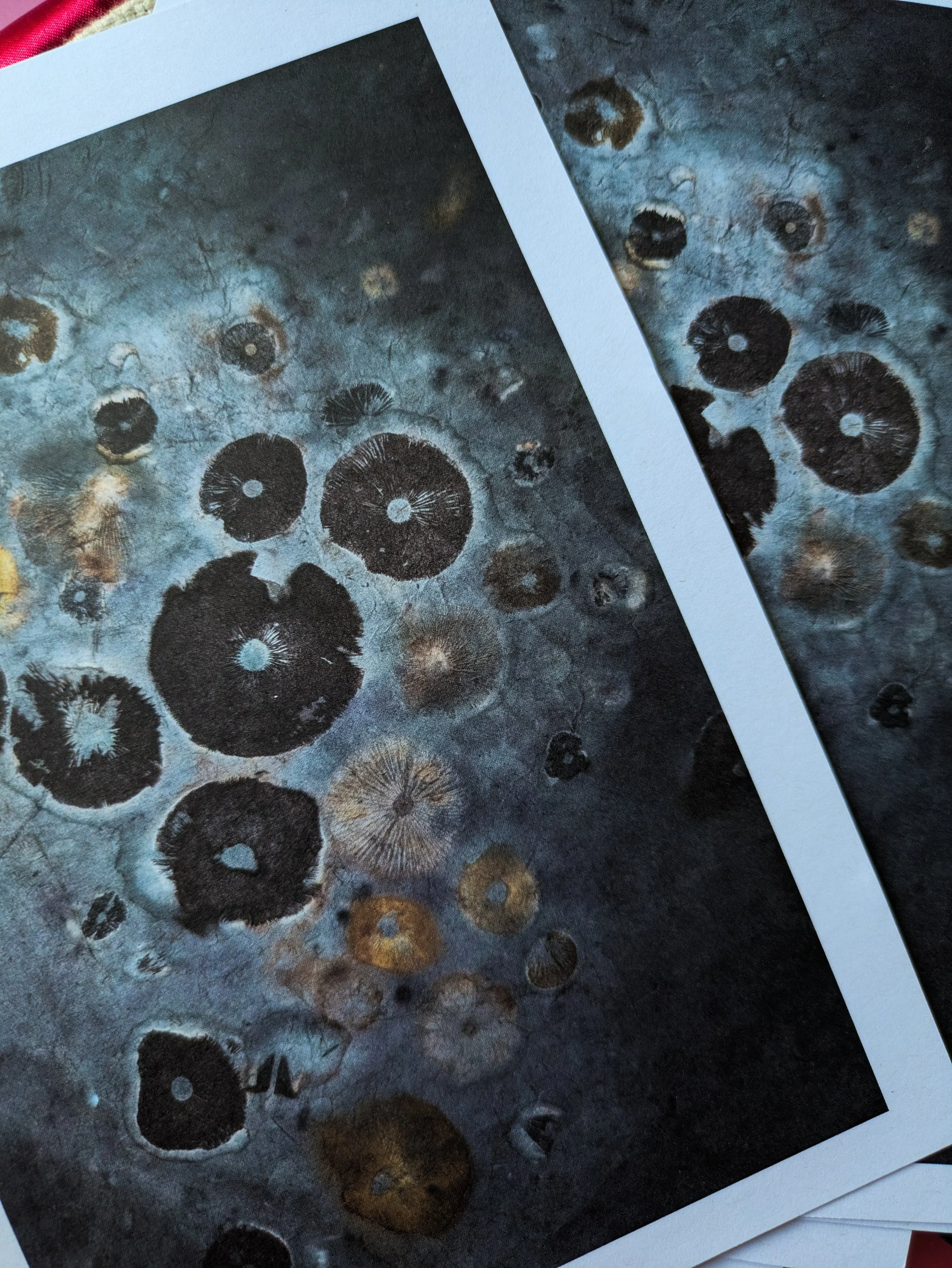 Berry Sporey Matte Paper Print A5