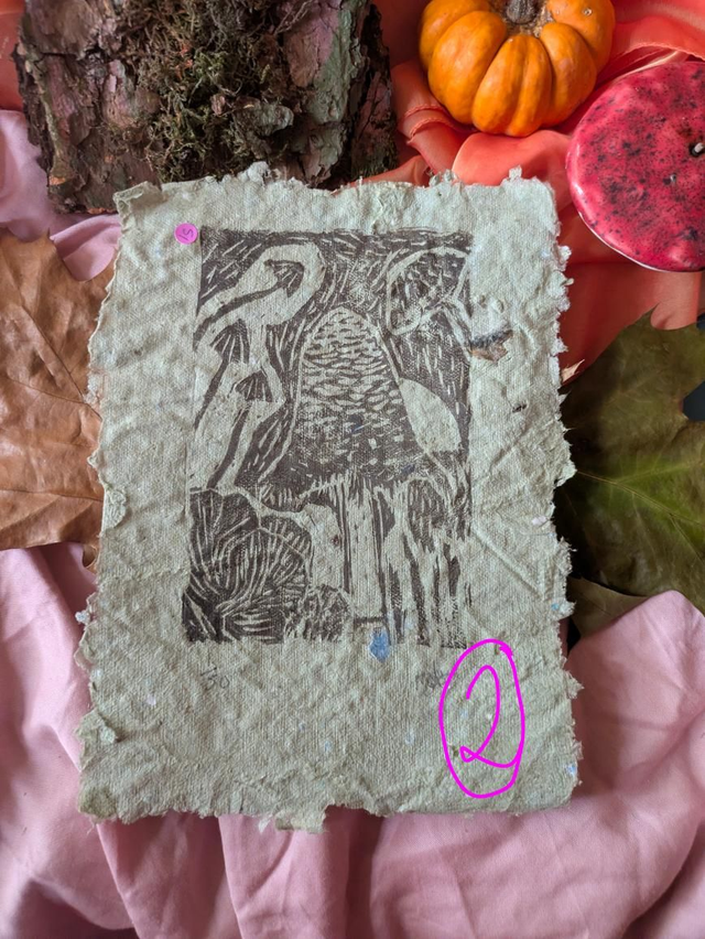 Woodcut Mushrooms on Handmade Pond Paper