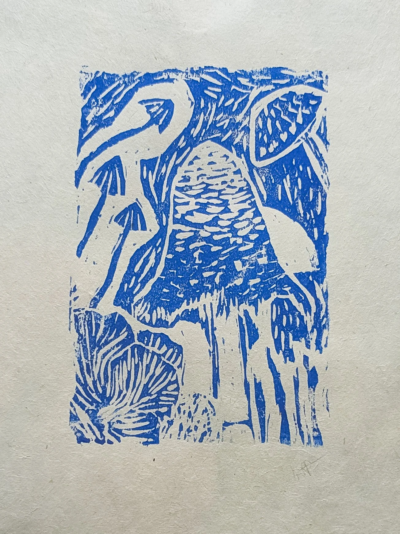 PXL_20260220_173723532 (1).jpg